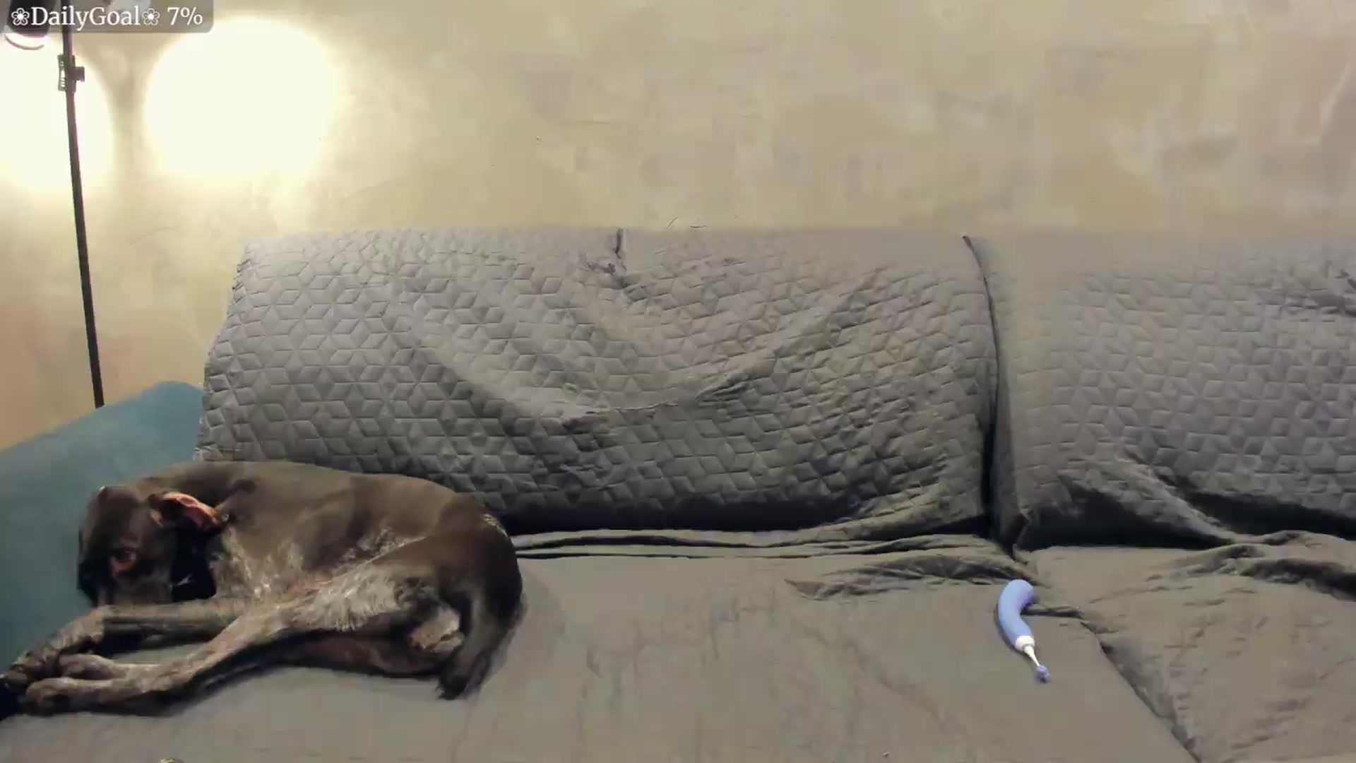 Gallery image thumbnail from BiteTheSweet's myfreecams stream on, 08/07/2026, 08:04 image 14 of 20