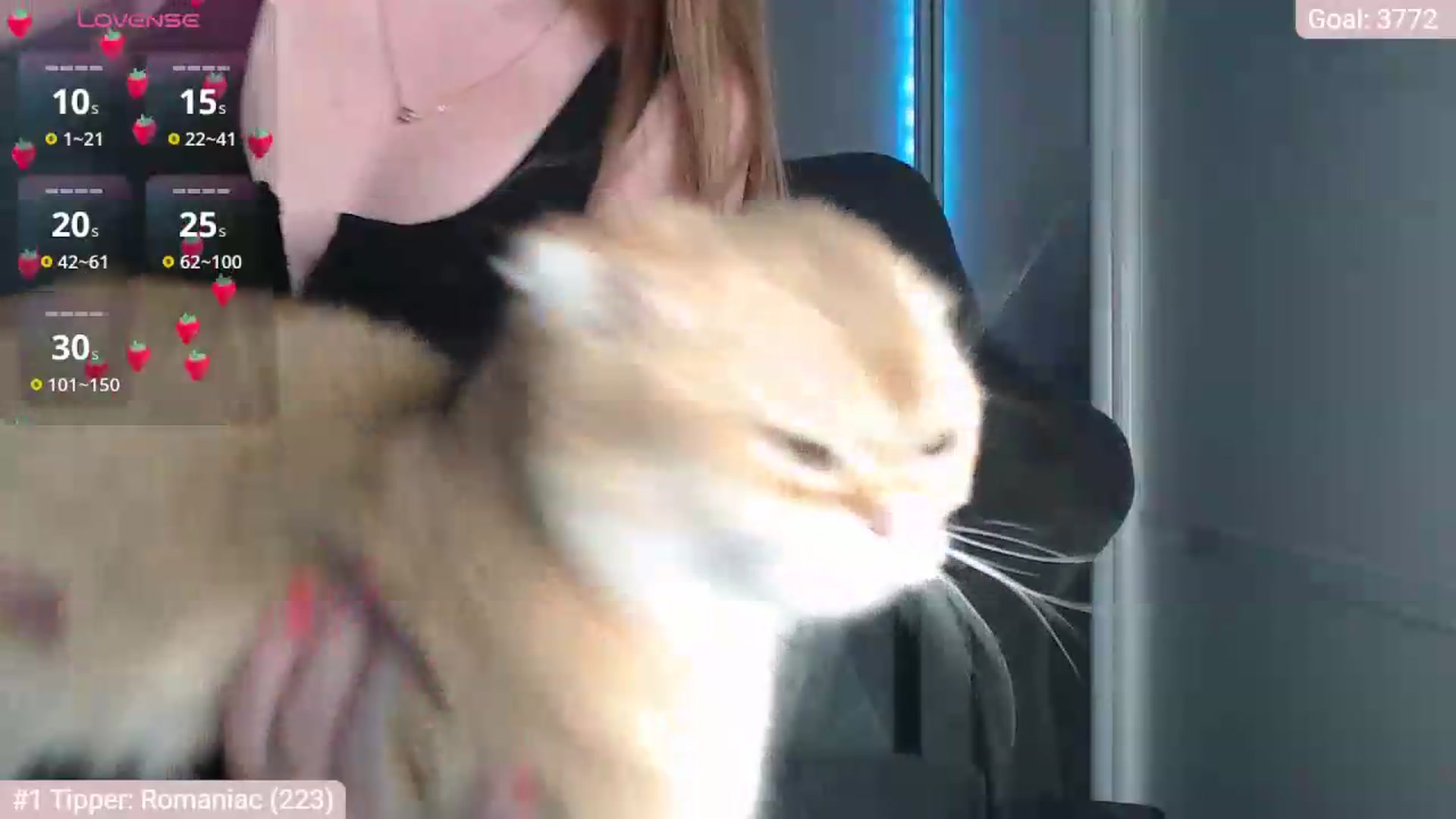 Gallery image thumbnail from BitsyMia's myfreecams stream on, 07/08/2026, 04:46 image 5 of 20