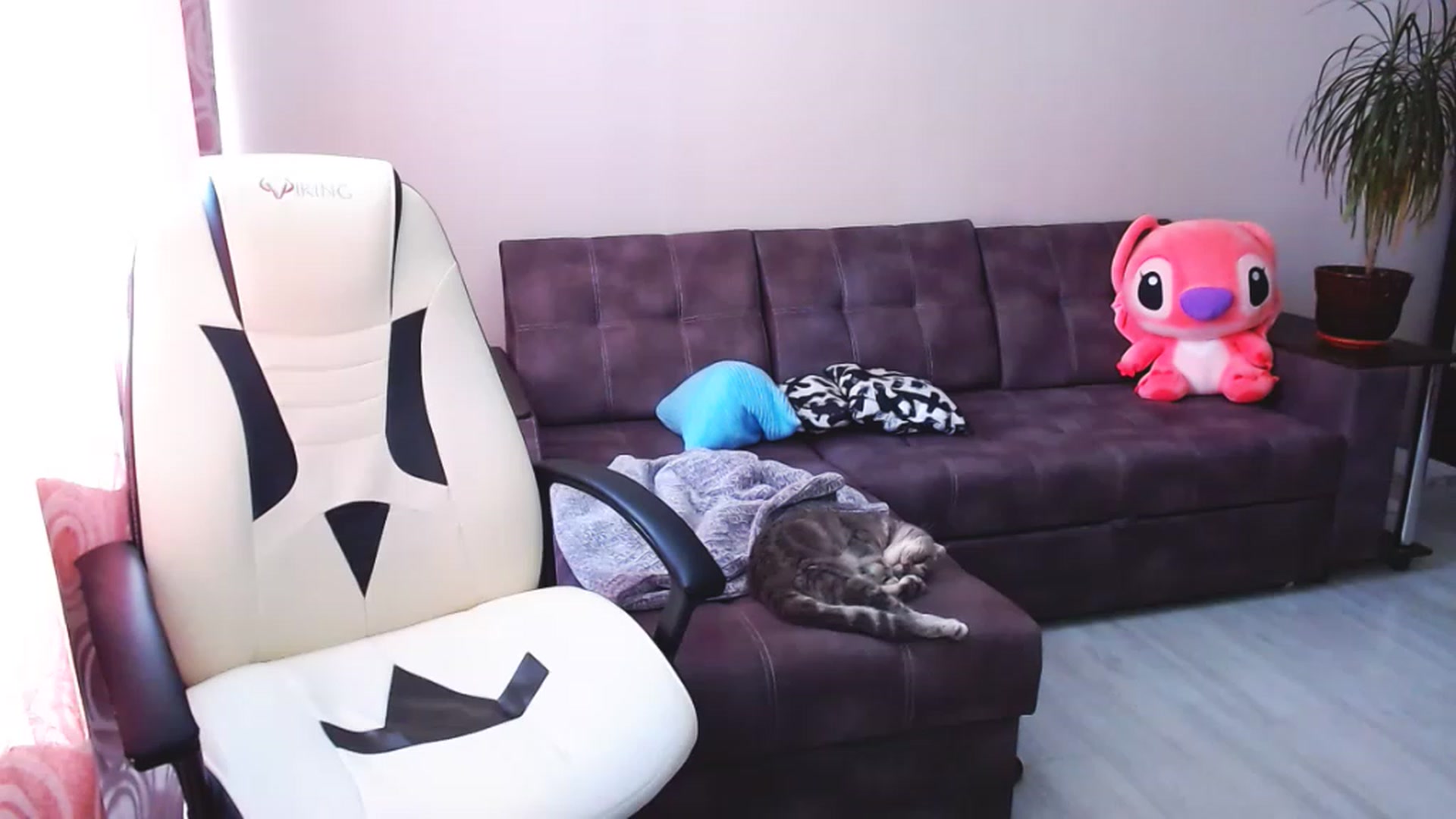 Gallery image thumbnail from BlackLovee's myfreecams stream on, 06/22/2023, 11:12 image 6 of 20