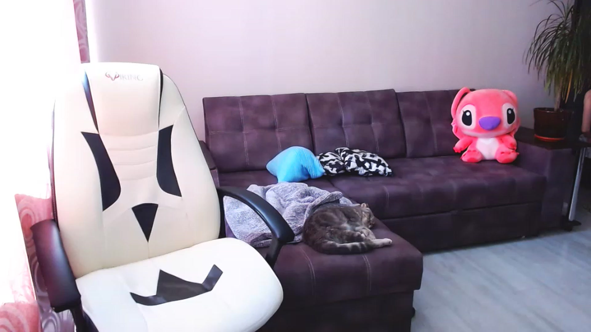 Gallery image thumbnail from BlackLovee's myfreecams stream on, 06/22/2023, 11:12 image 5 of 20
