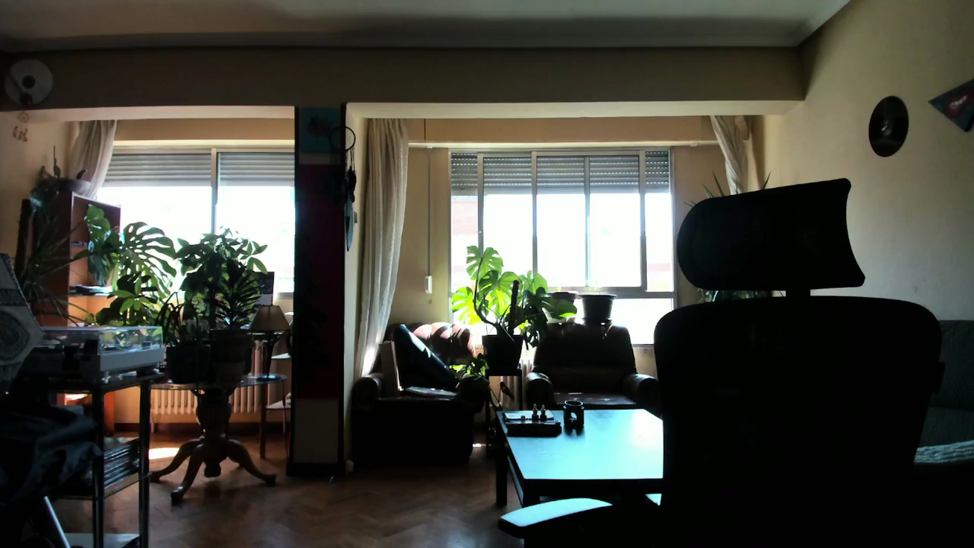 Gallery image thumbnail from Black_Aranya's myfreecams stream on, 09/06/2025, 12:08 image 1 of 20