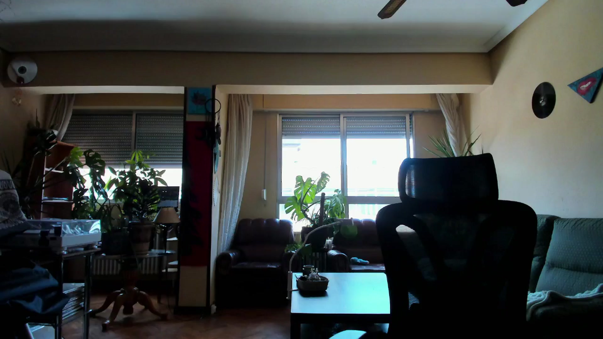 Gallery image thumbnail from Black_Aranya's myfreecams stream on, 09/22/2025, 15:32 image 16 of 20