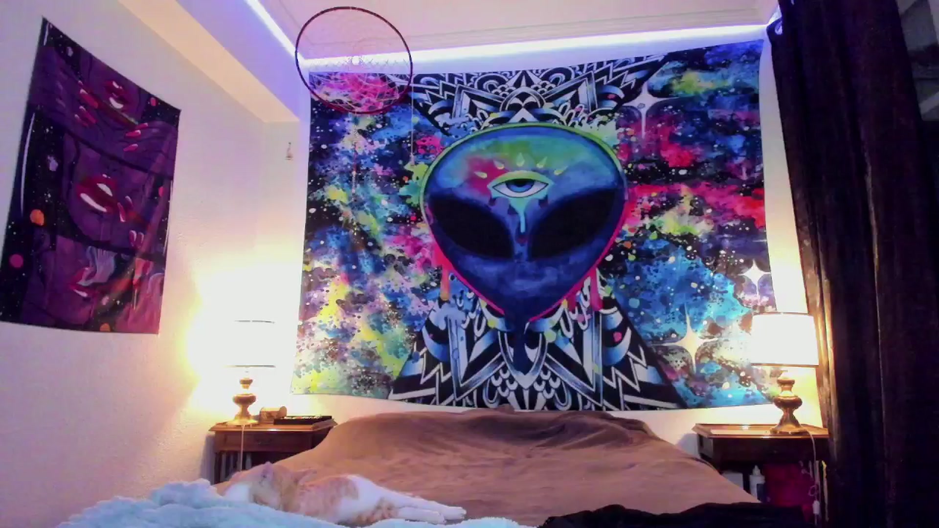 Gallery image thumbnail from Black_Aranya's myfreecams stream on, 11/09/2025, 19:49 image 16 of 20