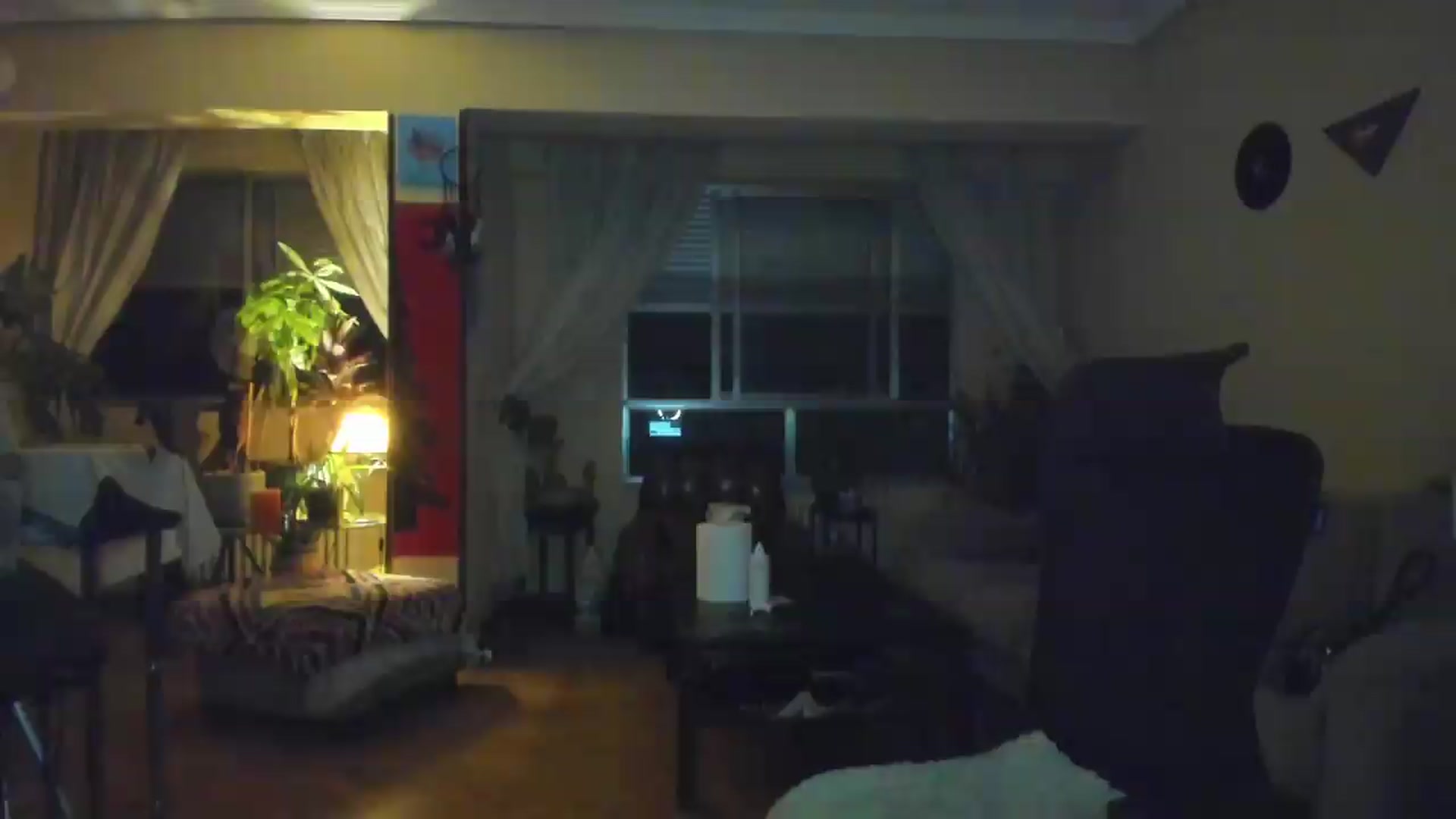 Gallery image thumbnail from Black_Aranya's myfreecams stream on, 07/07/2026, 21:44 image 4 of 20