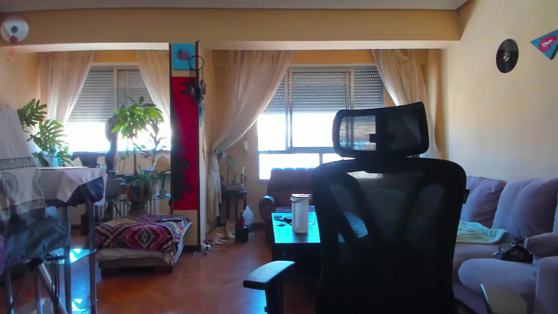 Gallery image thumbnail from Black_Aranya's myfreecams stream on, 07/23/2026, 15:39 image 7 of 20