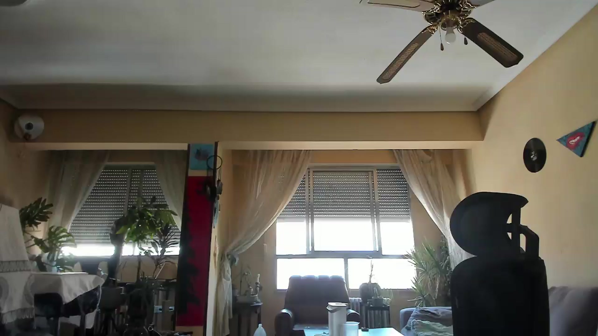 Gallery image thumbnail from Black_Aranya's myfreecams stream on, 07/29/2026, 15:23 image 5 of 20