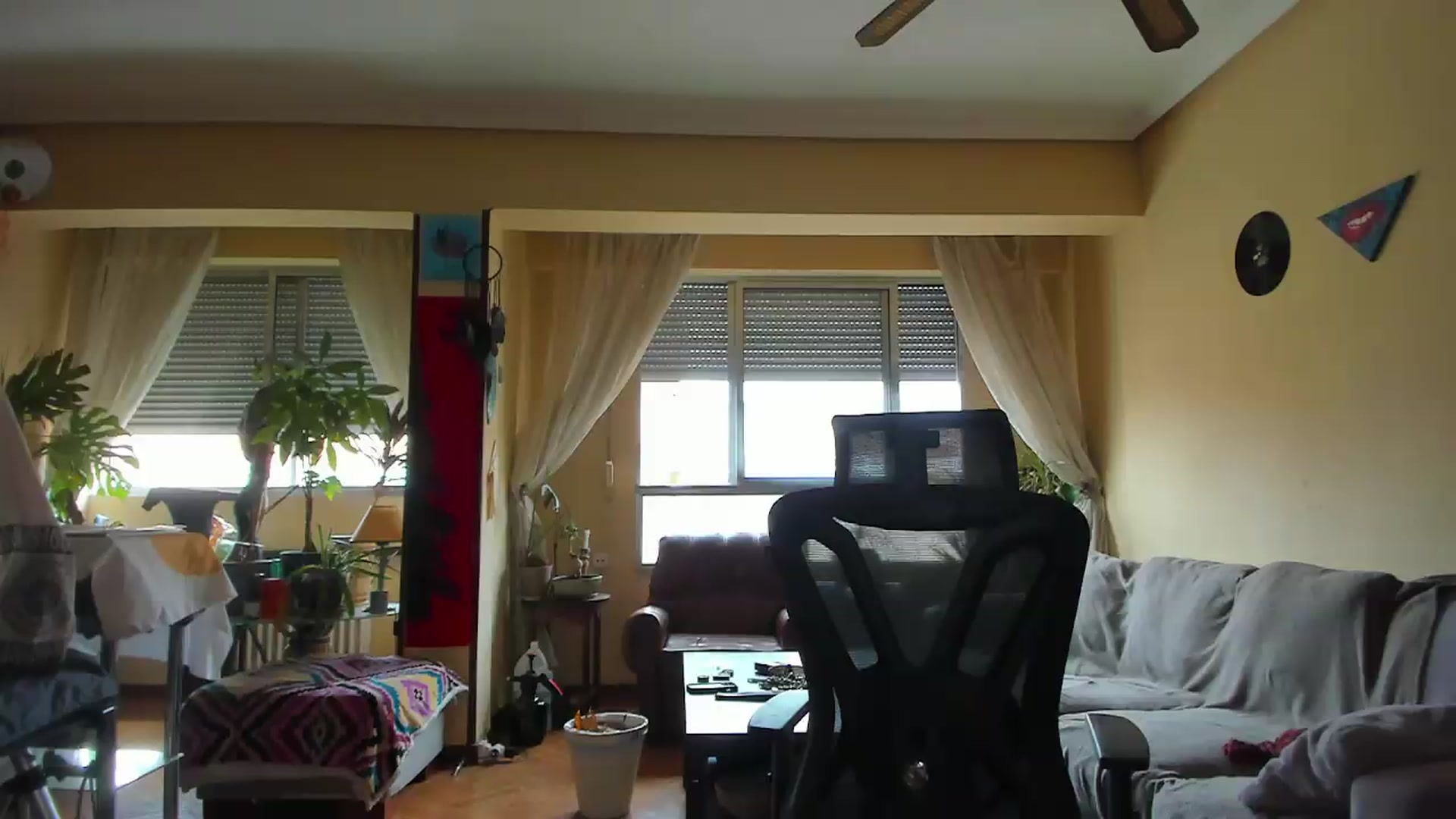 Gallery image thumbnail from Black_Aranya's myfreecams stream on, 08/24/2026, 14:26 image 17 of 20