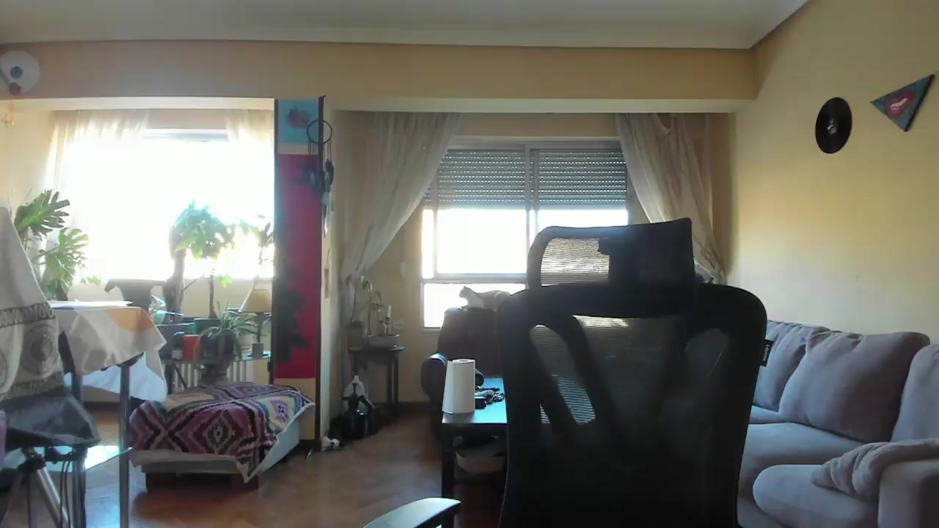 Gallery image thumbnail from Black_Aranya's myfreecams stream on, 08/31/2026, 17:55 image 13 of 20