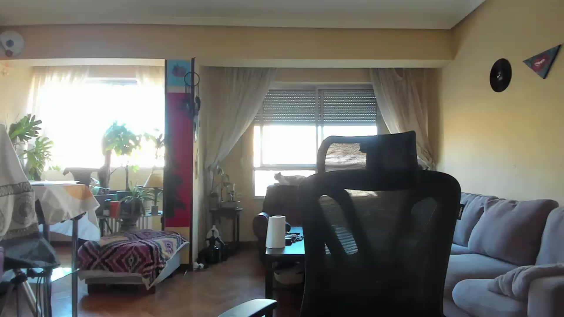 Gallery image thumbnail from Black_Aranya's myfreecams stream on, 08/31/2026, 17:55 image 16 of 20