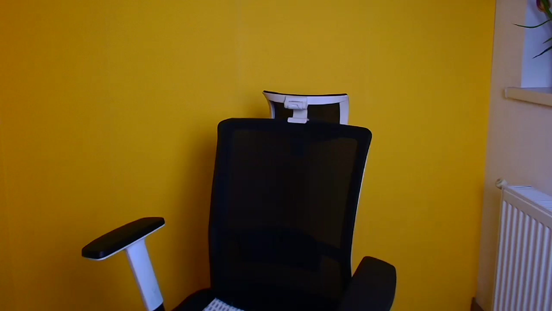 Gallery image thumbnail from Black_Red's myfreecams stream on, 04/26/2024, 10:10 image 10 of 20