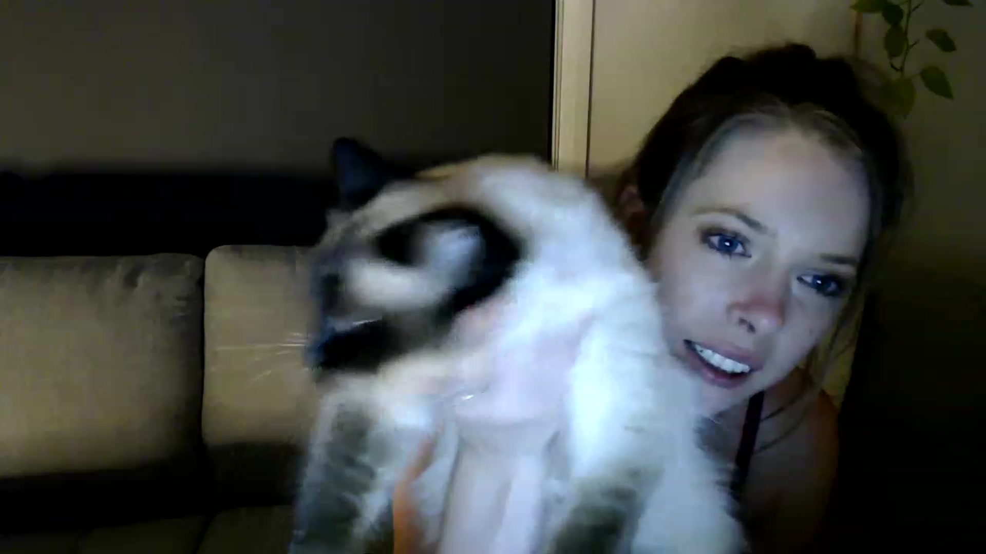 Gallery image thumbnail from BlairHarper's myfreecams stream on, 02/25/2023, 17:30 image 15 of 20