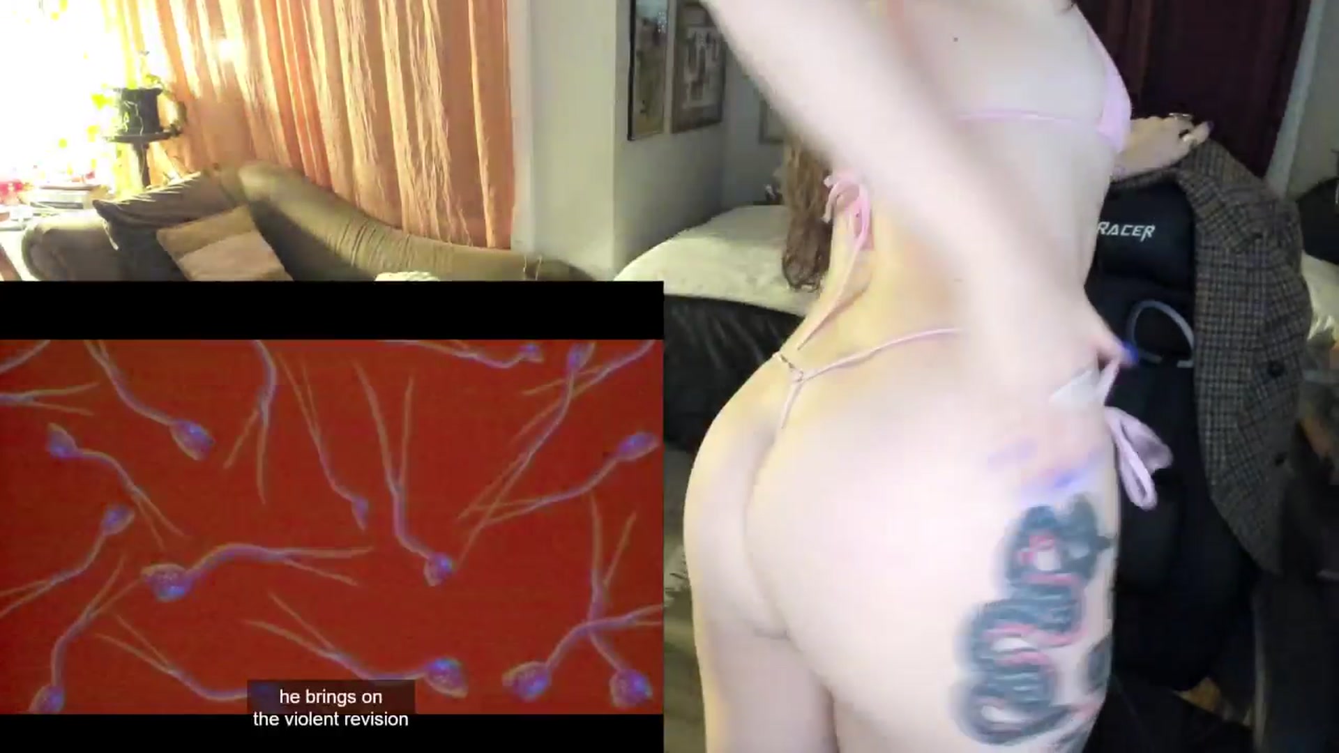 Gallery image thumbnail from BlairLennox's myfreecams stream on, 04/23/2026, 02:57 image 8 of 20