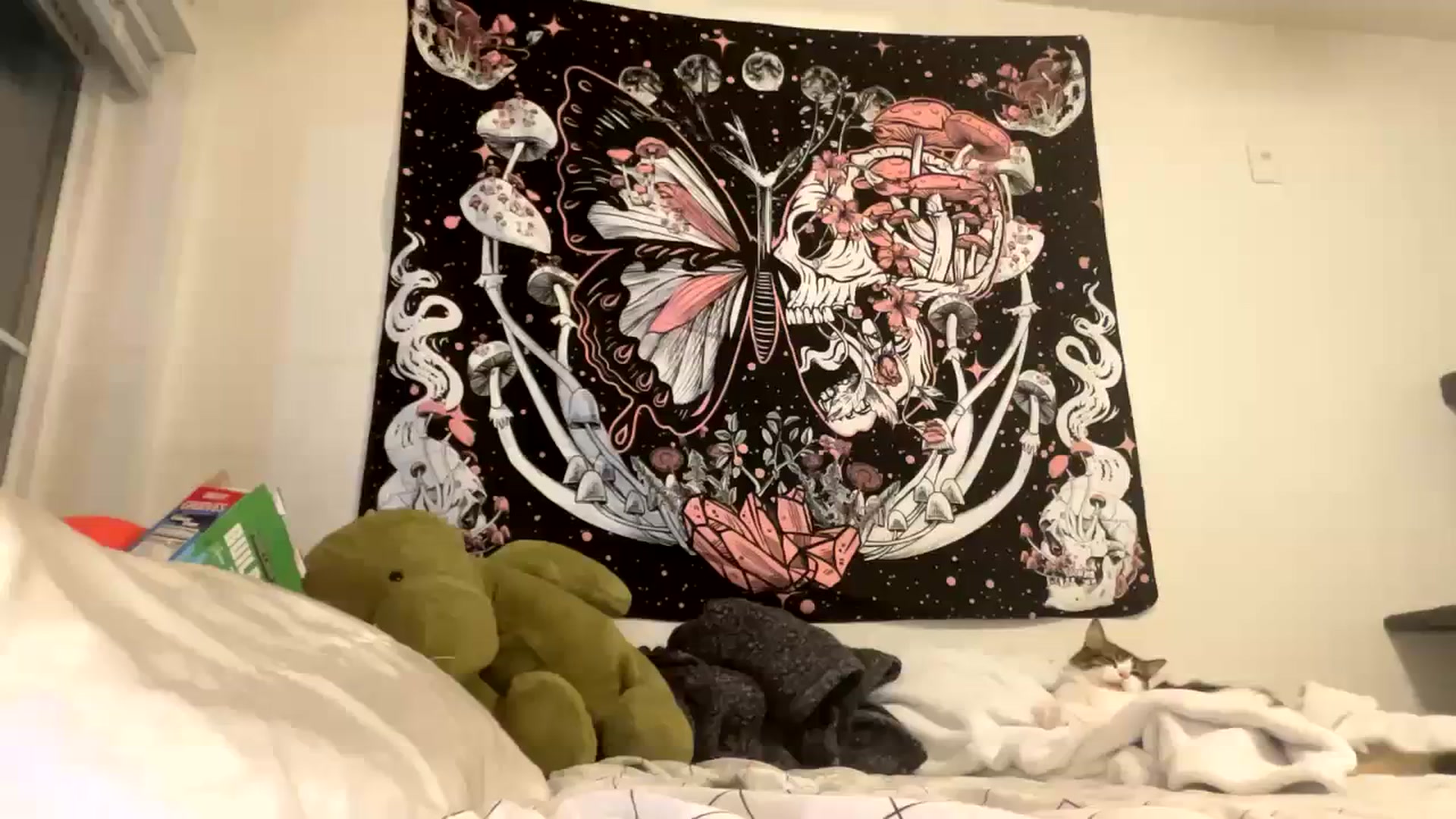 Gallery image thumbnail from Blairbear03's myfreecams stream on, 10/04/2023, 03:22 image 14 of 20