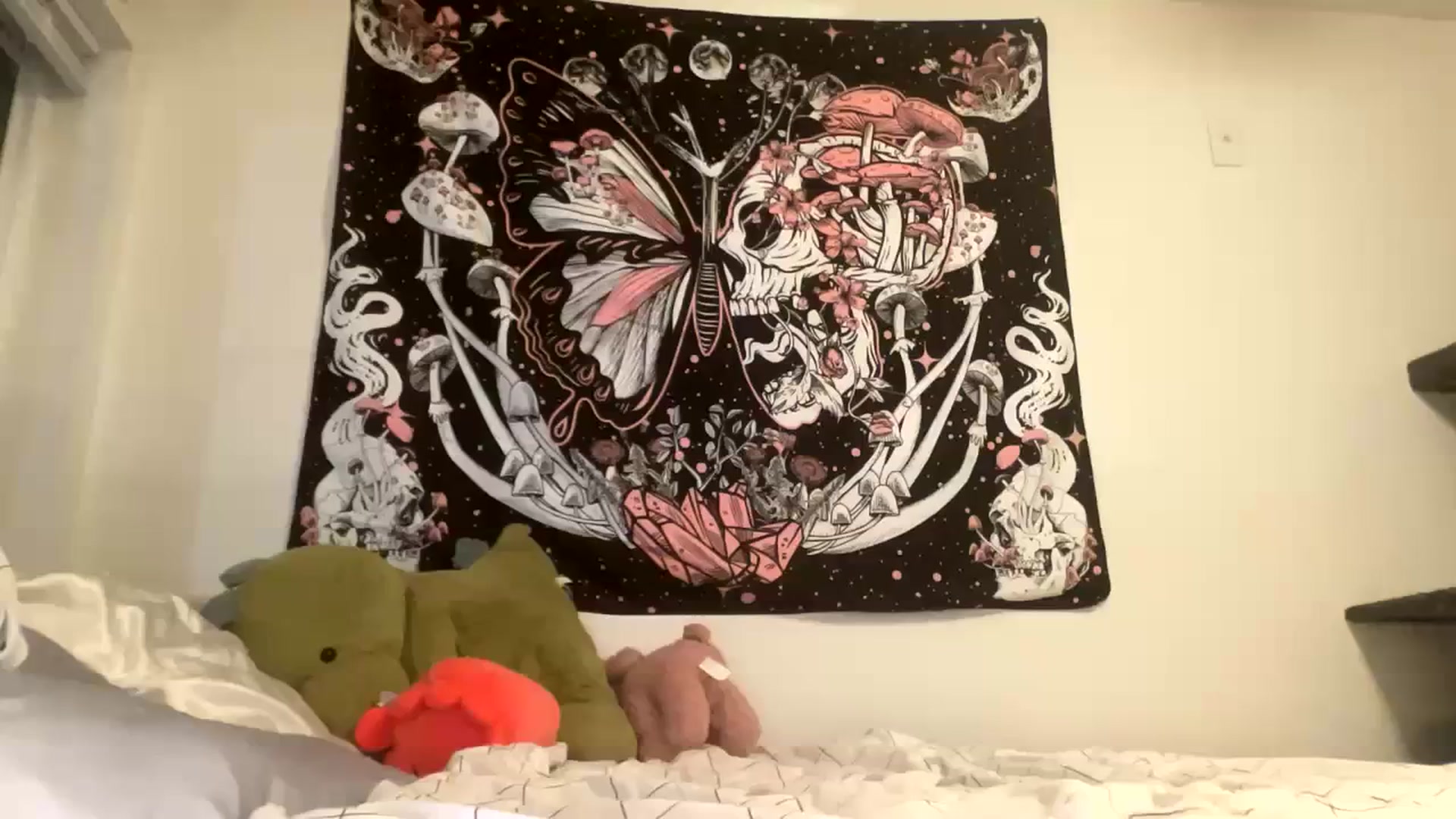 Gallery image thumbnail from Blairbear03's myfreecams stream on, 10/10/2023, 03:52 image 2 of 20