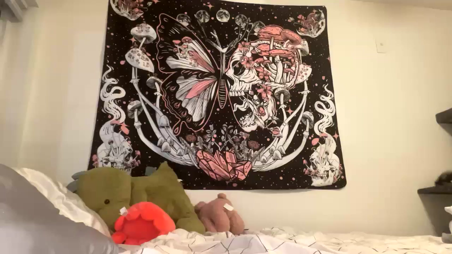 Gallery image thumbnail from Blairbear03's myfreecams stream on, 10/10/2023, 03:52 image 14 of 20