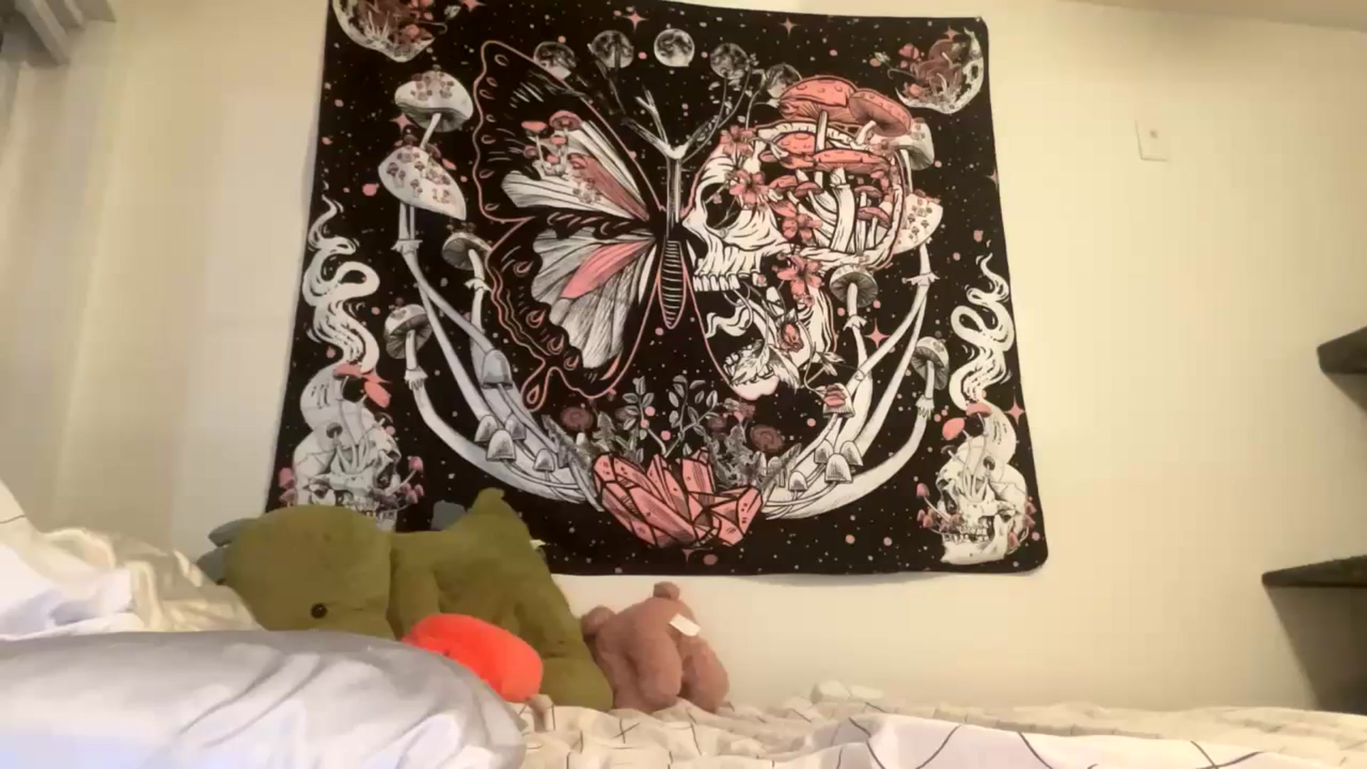 Gallery image thumbnail from Blairbear03's myfreecams stream on, 10/10/2023, 03:52 image 10 of 20