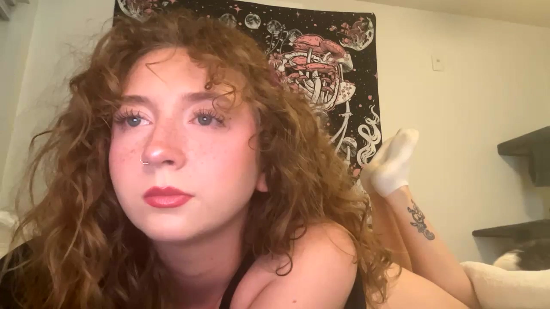 Gallery image thumbnail from Blairbear03's myfreecams stream on, 11/22/2023, 05:14 image 3 of 20
