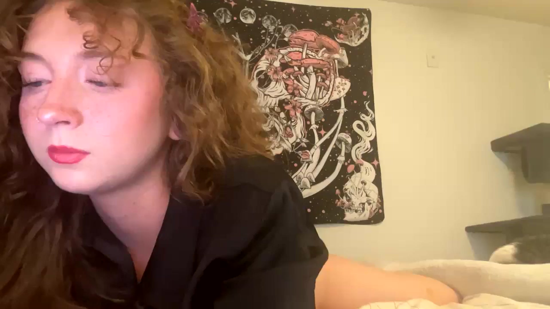 Gallery image thumbnail from Blairbear03's myfreecams stream on, 11/22/2023, 05:14 image 6 of 20
