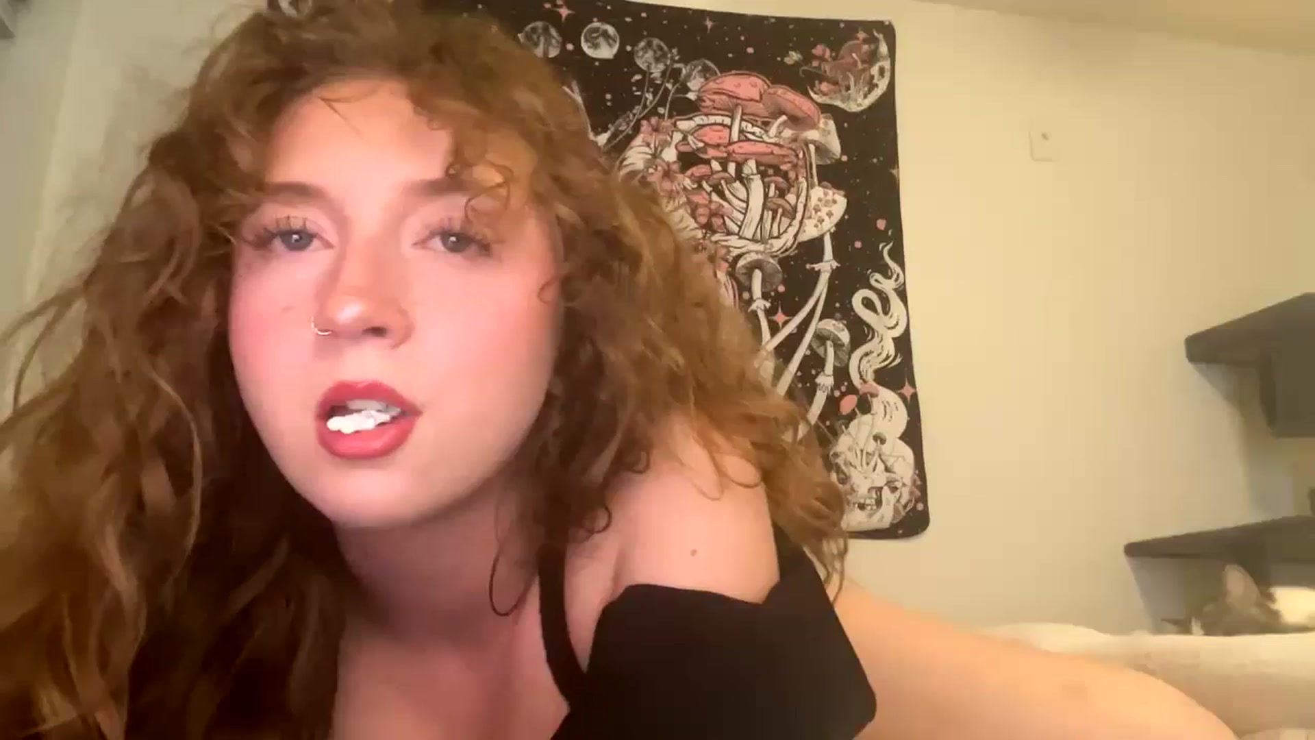 Gallery image thumbnail from Blairbear03's myfreecams stream on, 11/22/2023, 05:14 image 1 of 20