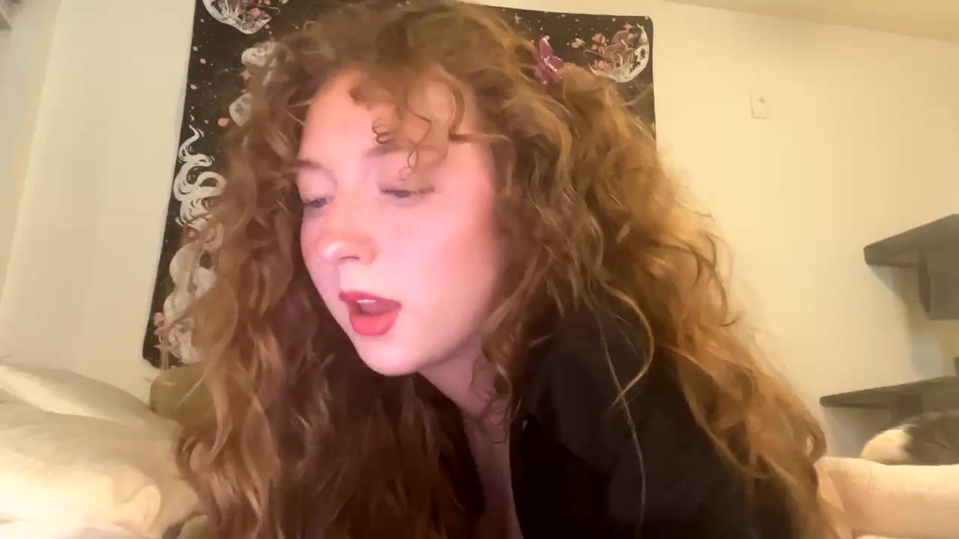 Gallery image thumbnail from Blairbear03's myfreecams stream on, 11/22/2023, 05:14 image 4 of 20