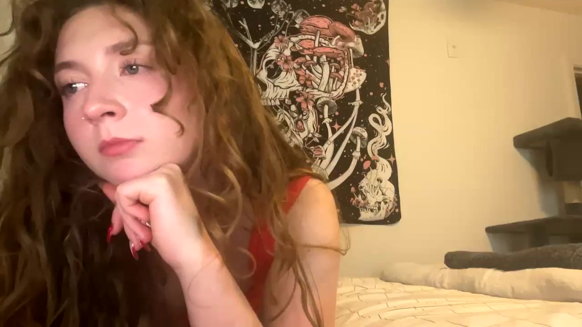 Gallery image thumbnail from Blairbear03's myfreecams stream on, 11/28/2023, 05:12 image 10 of 20