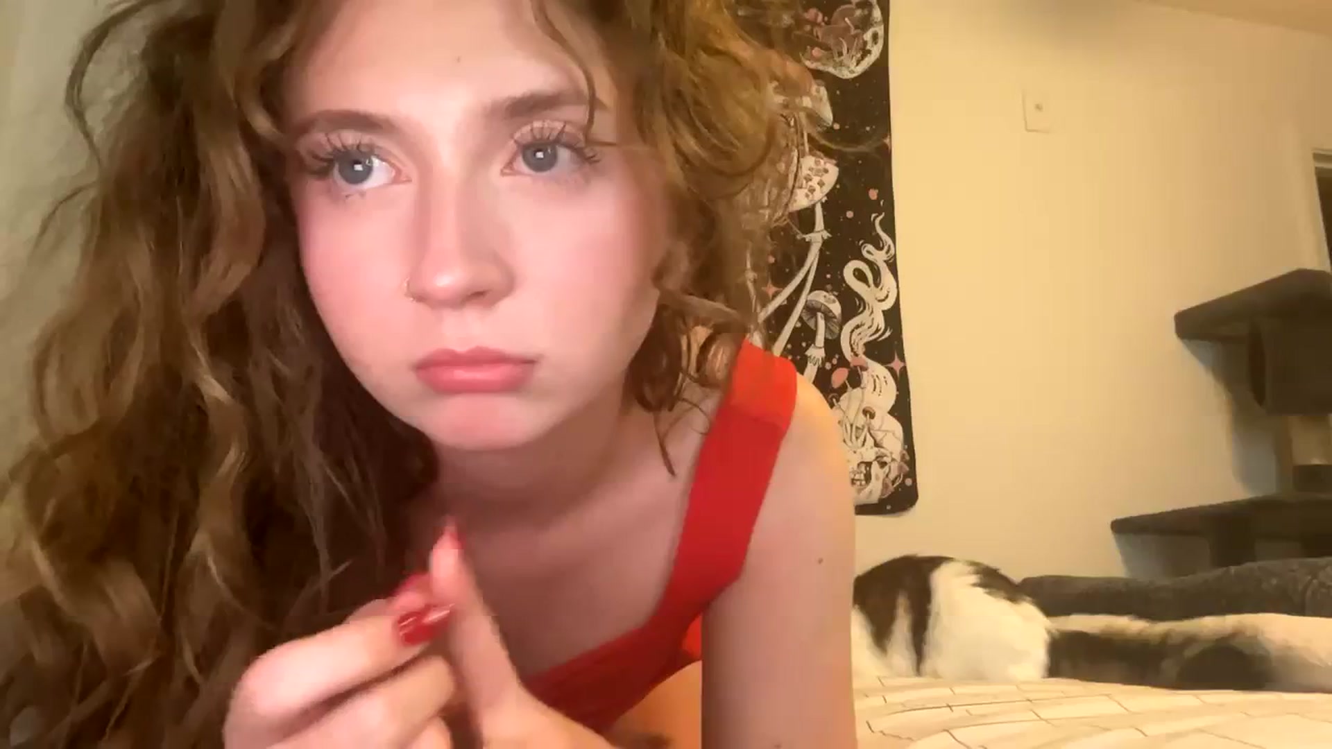 Gallery image thumbnail from Blairbear03's myfreecams stream on, 11/28/2023, 05:12 image 3 of 20
