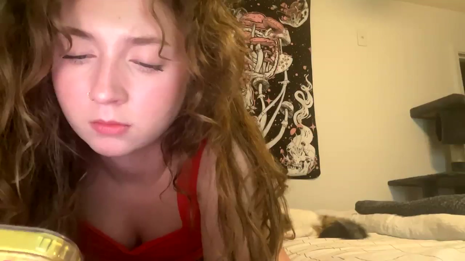 Gallery image thumbnail from Blairbear03's myfreecams stream on, 11/28/2023, 05:12 image 1 of 20