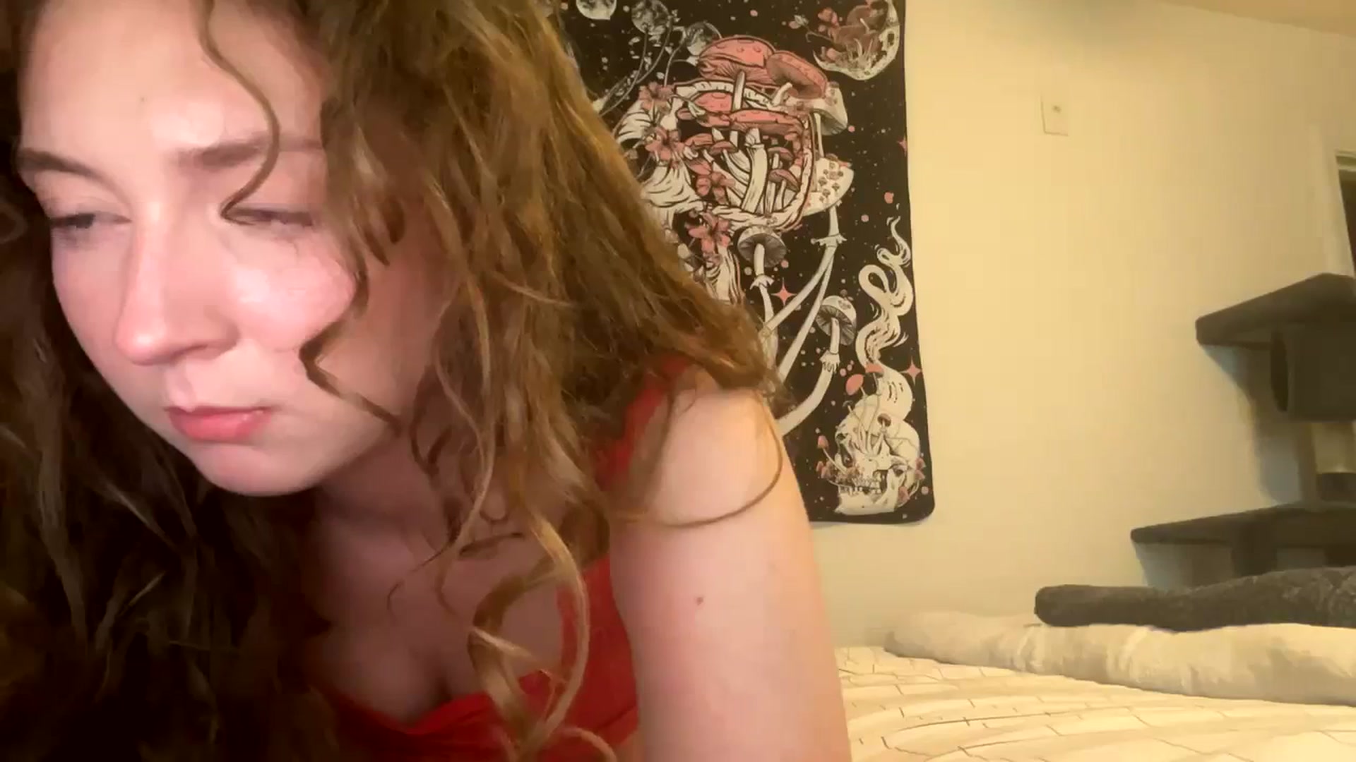 Gallery image thumbnail from Blairbear03's myfreecams stream on, 11/28/2023, 05:12 image 8 of 20