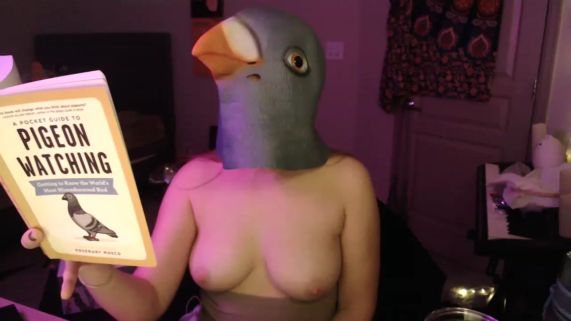 Gallery image thumbnail from Blake_Bardot's myfreecams stream on, 11/17/2022, 05:48 image 16 of 20