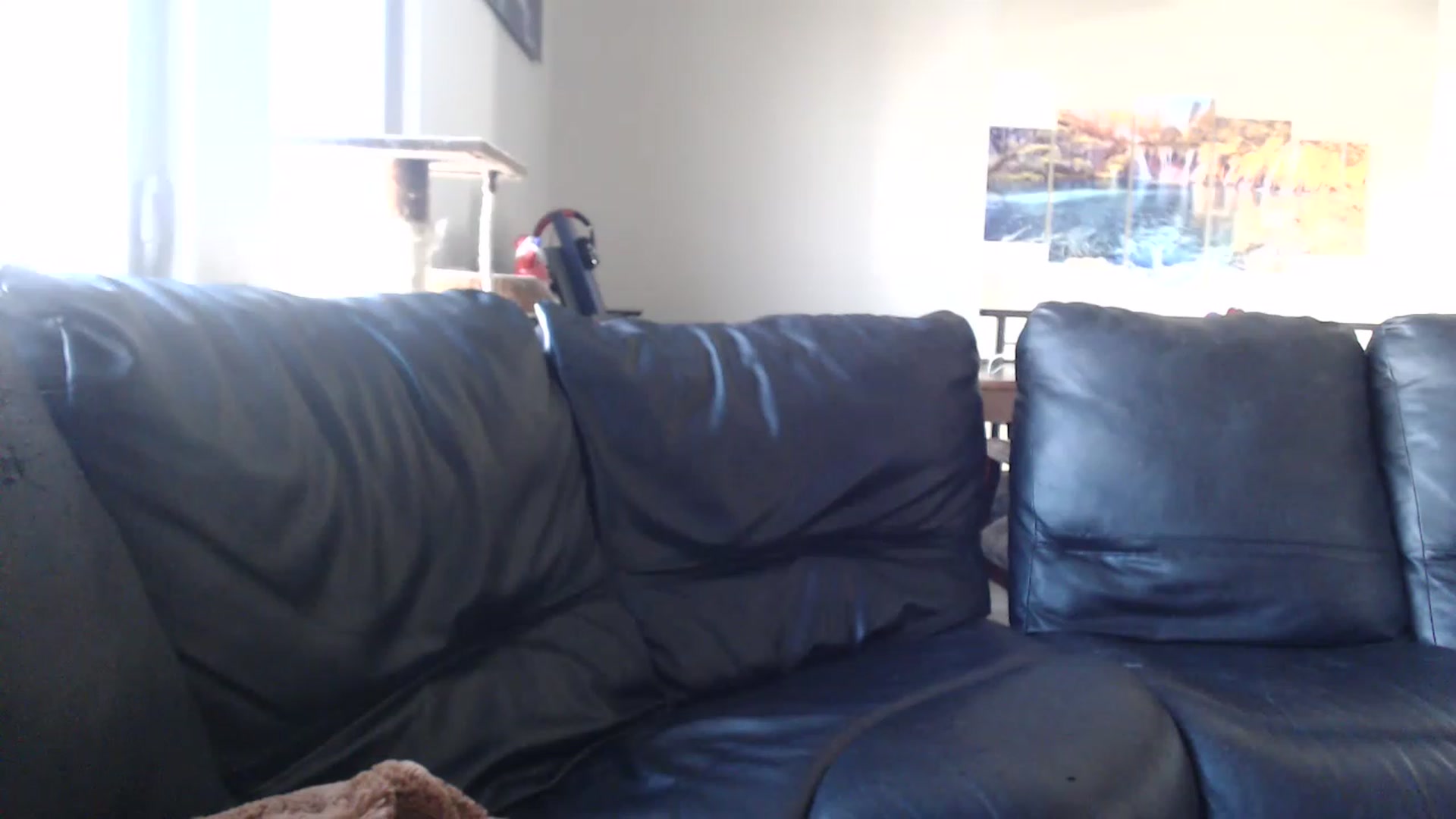Gallery image thumbnail from Blake_Bardot's myfreecams stream on, 11/26/2022, 20:14 image 3 of 20