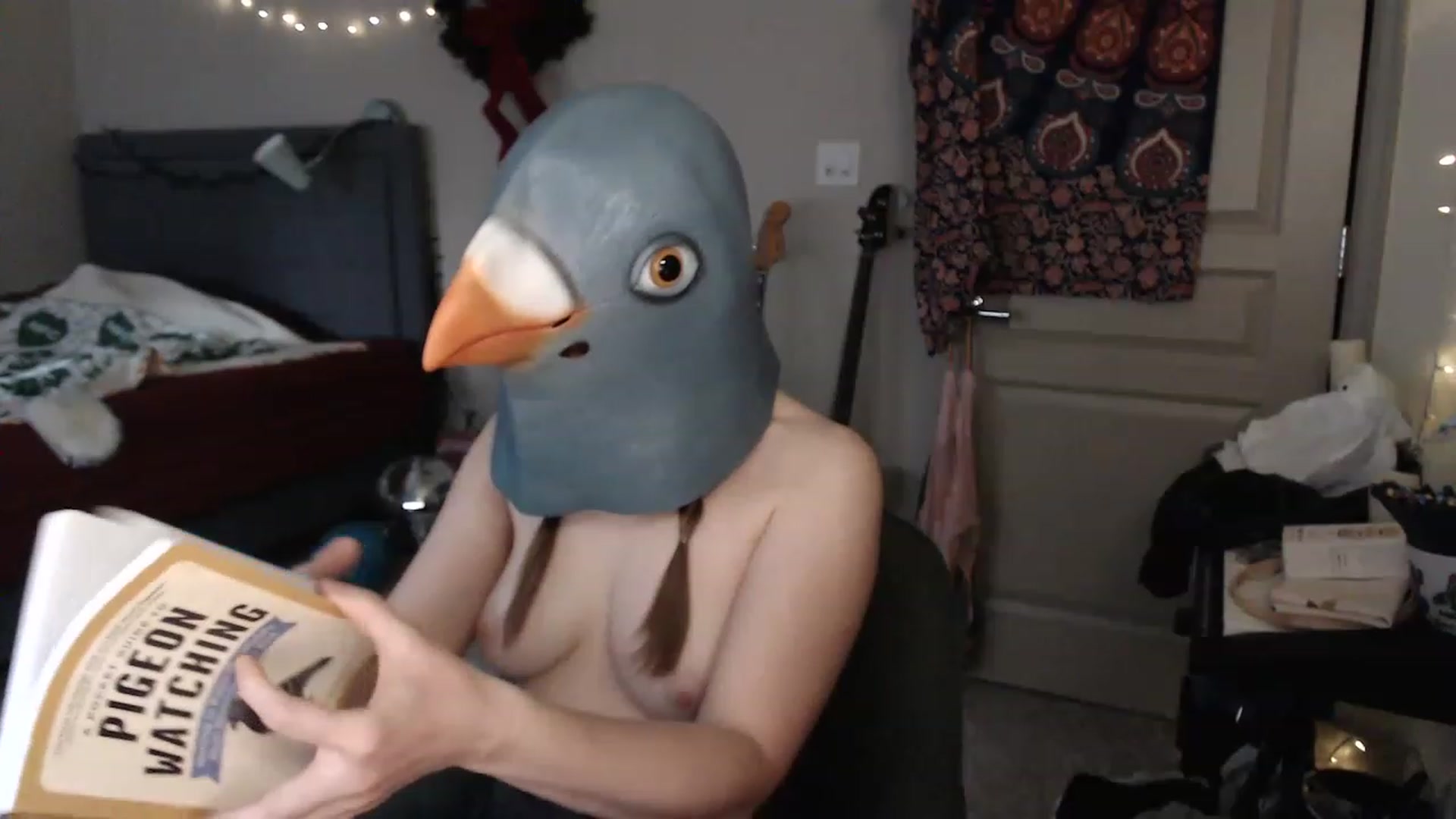 Gallery image thumbnail from Blake_Bardot's myfreecams stream on, 02/13/2023, 24:20 image 15 of 20