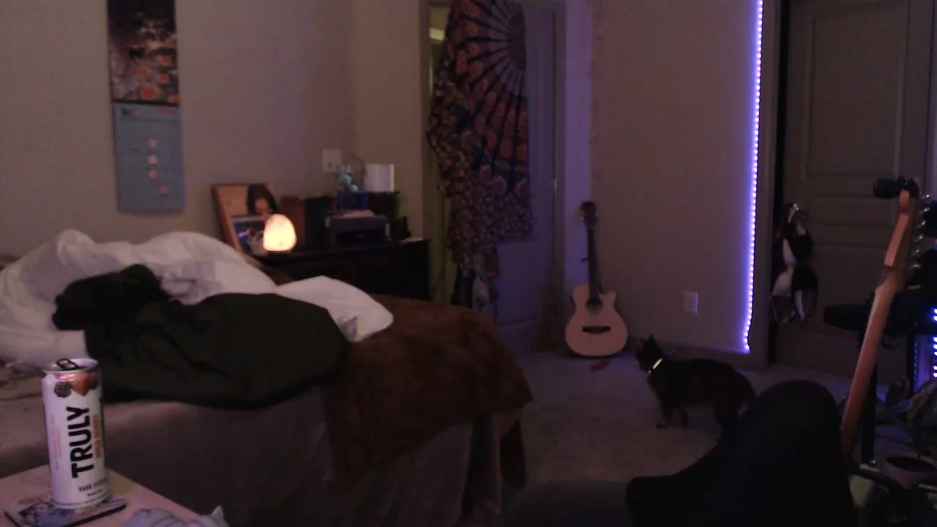 Gallery image thumbnail from Blake_Bardot's myfreecams stream on, 05/10/2024, 06:03 image 3 of 20