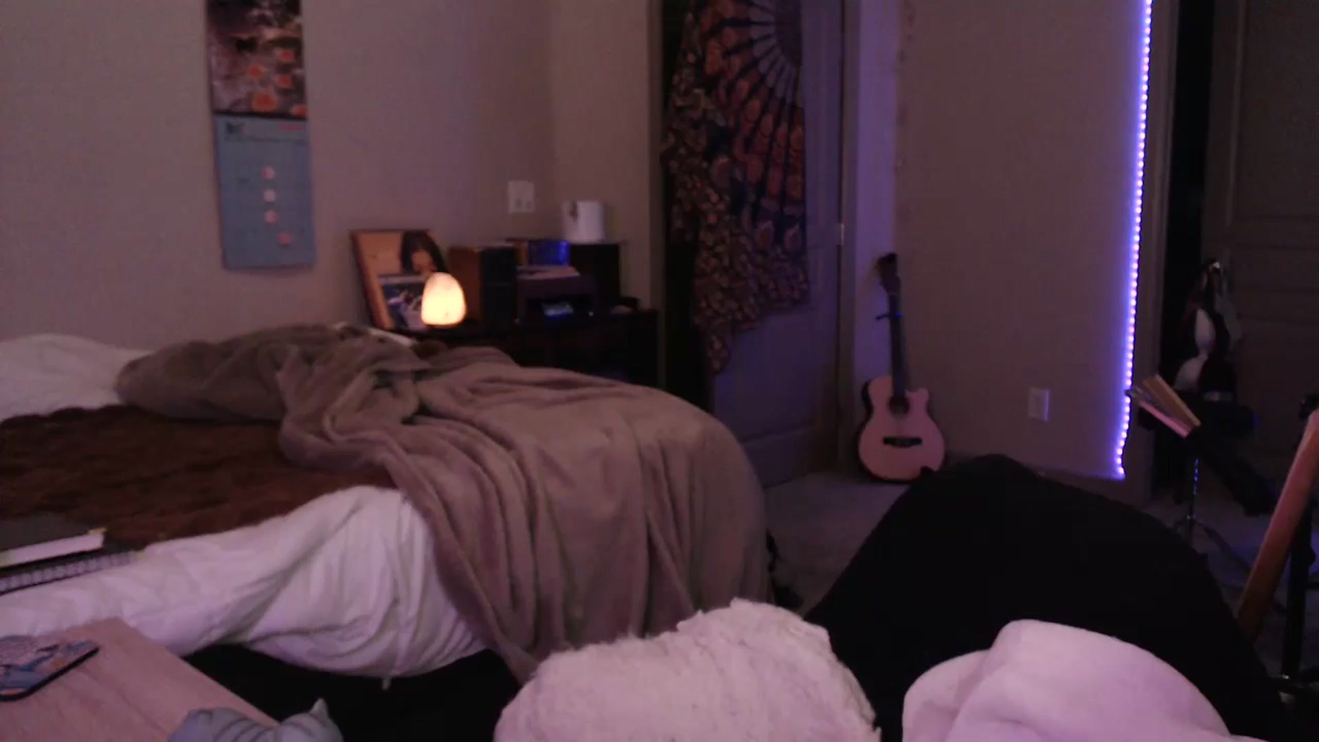Gallery image thumbnail from Blake_Bardot's myfreecams stream on, 05/29/2024, 07:48 image 7 of 20