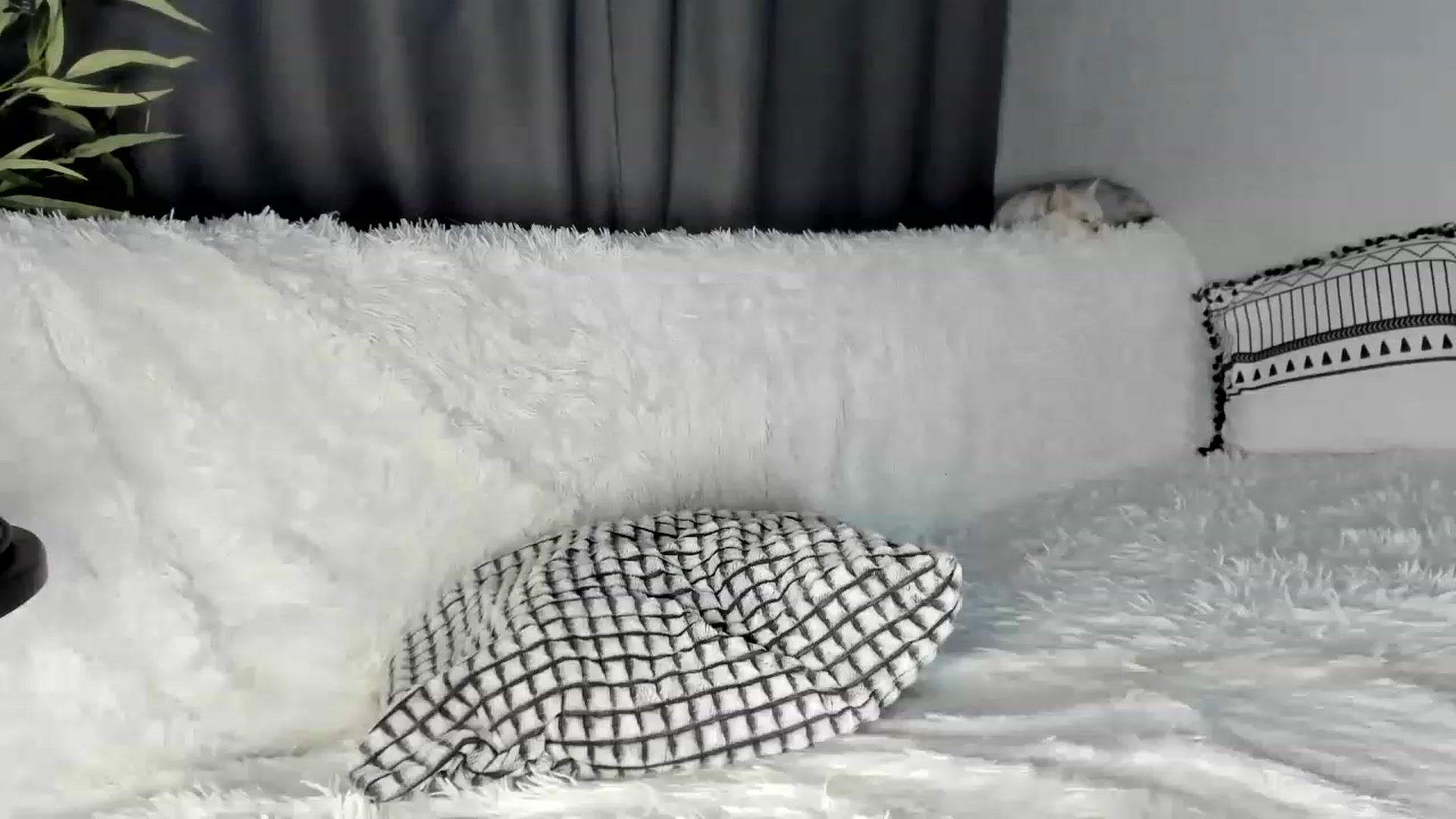 Gallery image thumbnail from Blake_Star's myfreecams stream on, 06/12/2023, 23:30 image 1 of 20