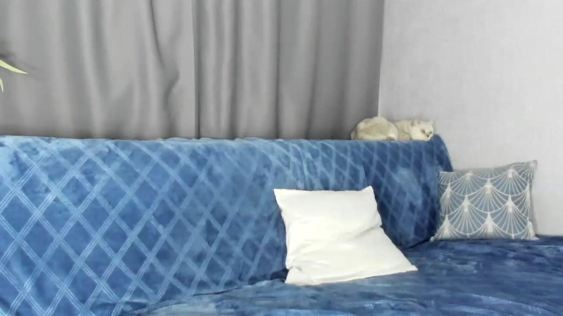Gallery image thumbnail from Blake_Star's myfreecams stream on, 06/15/2023, 20:03 image 17 of 20
