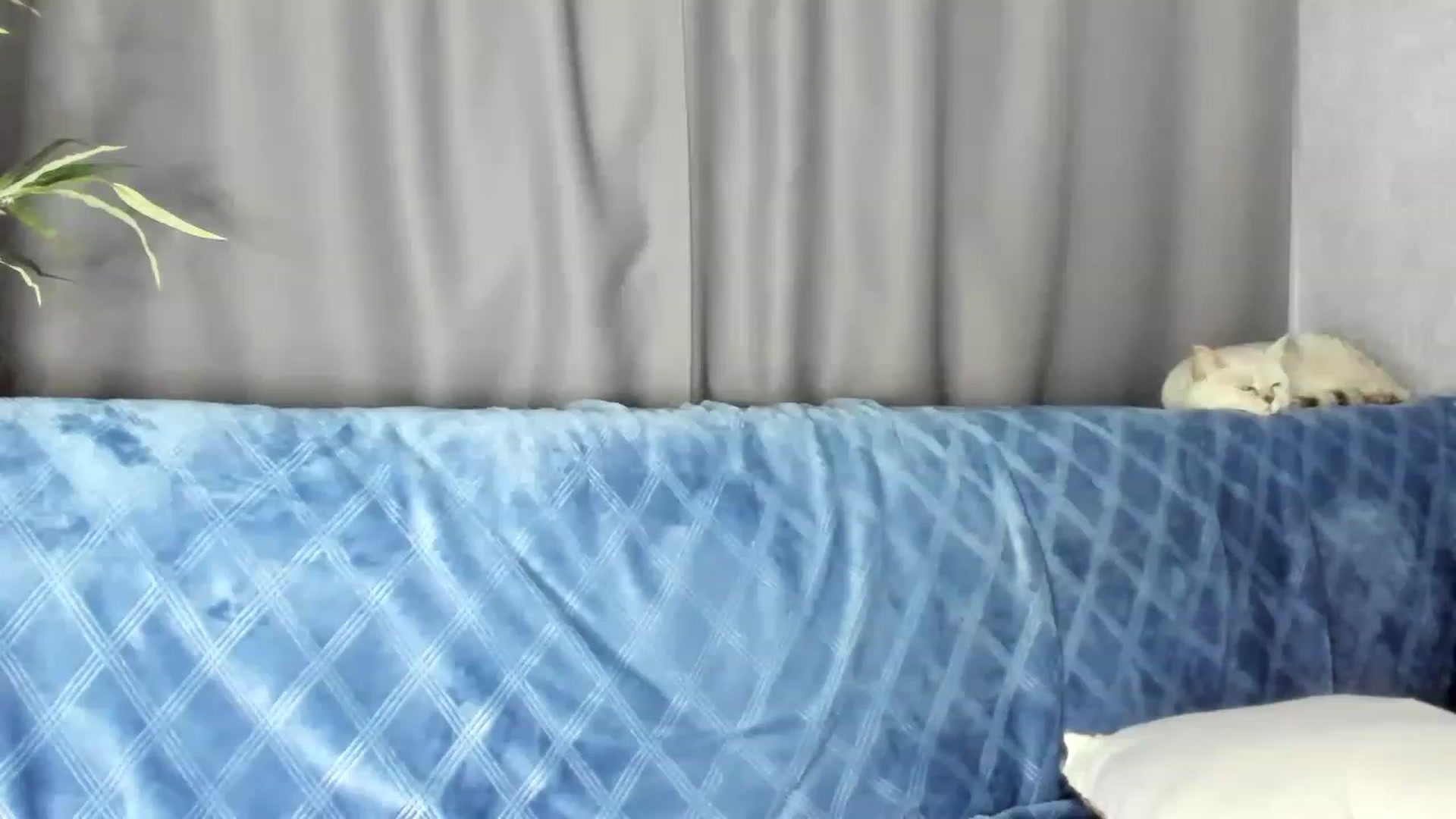 Gallery image thumbnail from Blake_Star's myfreecams stream on, 06/15/2023, 21:19 image 8 of 20