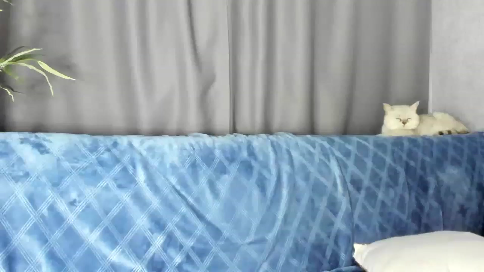 Gallery image thumbnail from Blake_Star's myfreecams stream on, 06/15/2023, 21:19 image 9 of 20