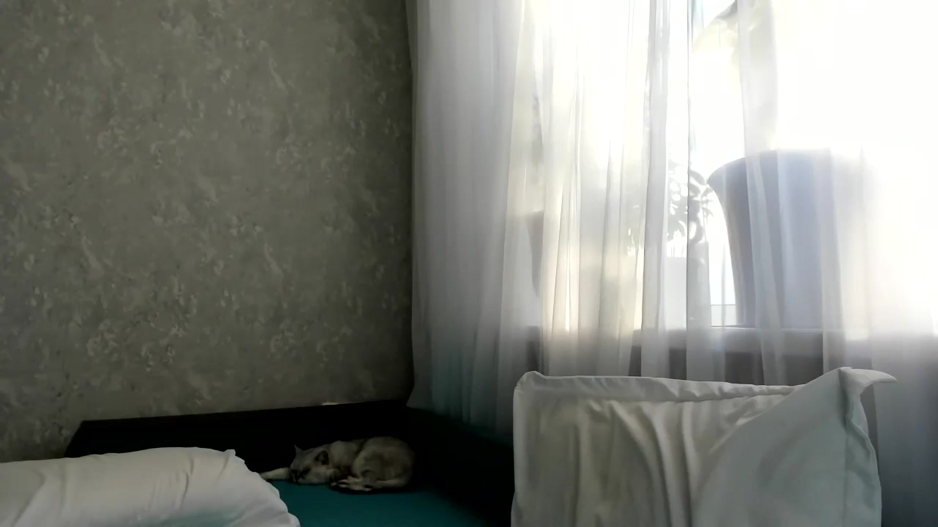 Gallery image thumbnail from Blake_Star's myfreecams stream on, 09/04/2023, 15:50 image 5 of 20
