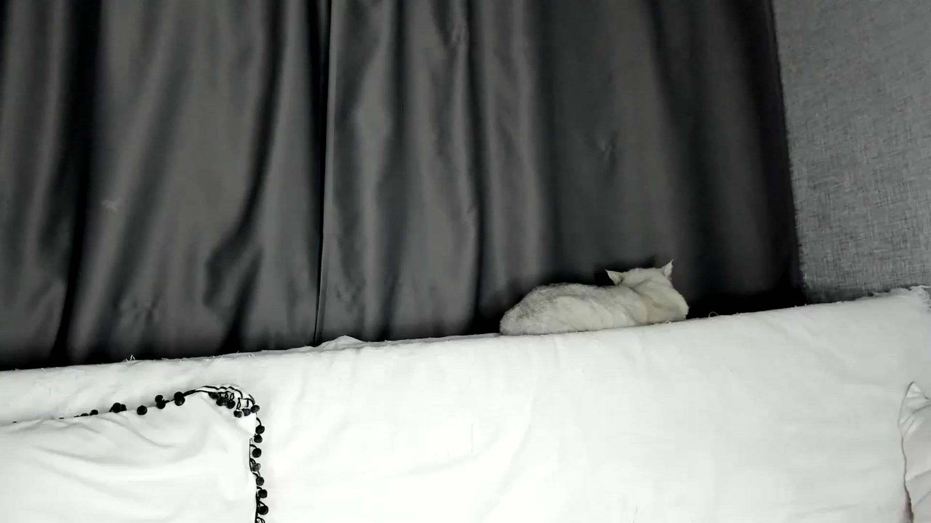 Gallery image thumbnail from Blake_Star's myfreecams stream on, 10/27/2023, 15:51 image 16 of 20