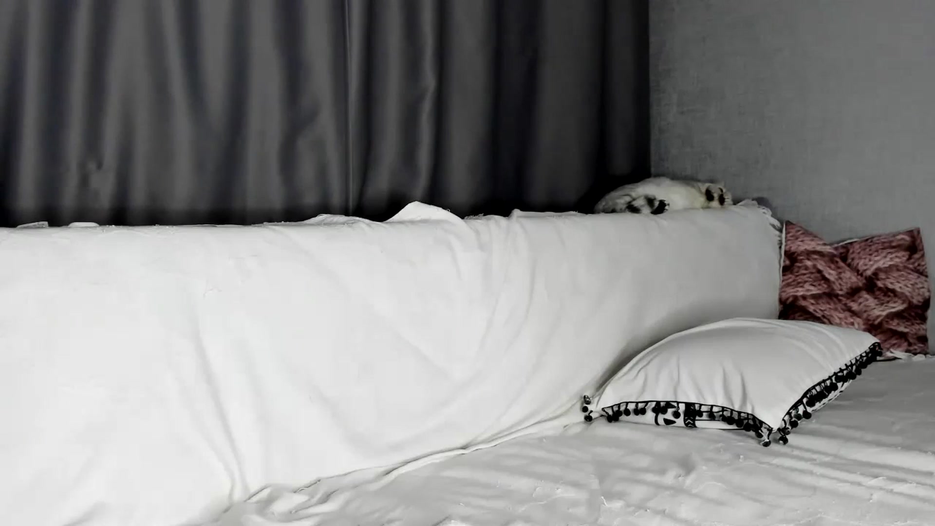 Gallery image thumbnail from Blake_Star's myfreecams stream on, 10/31/2023, 22:13 image 9 of 20