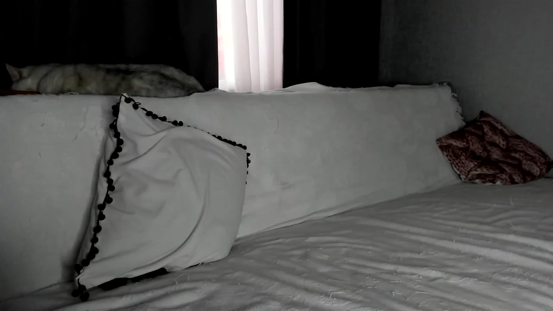Gallery image thumbnail from Blake_Star's myfreecams stream on, 11/14/2023, 12:16 image 11 of 20