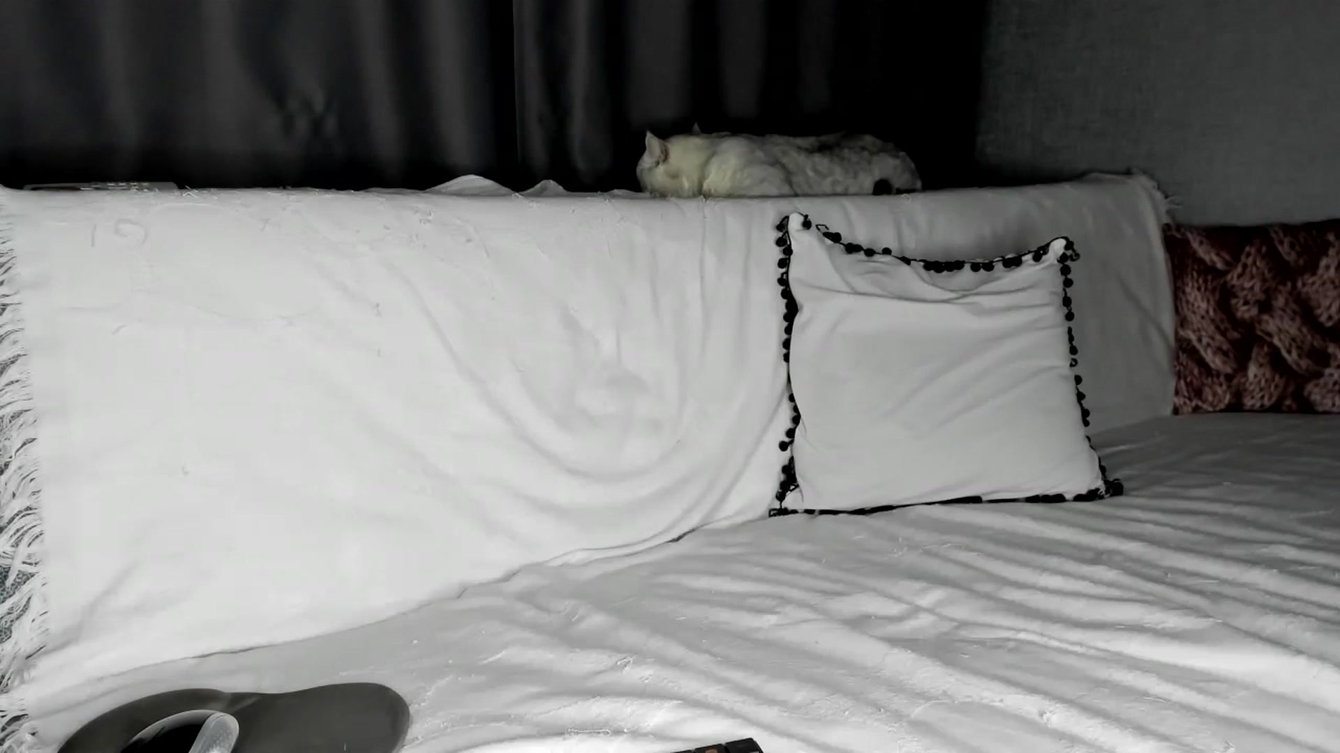 Gallery image thumbnail from Blake_Star's myfreecams stream on, 11/28/2023, 20:18 image 10 of 20