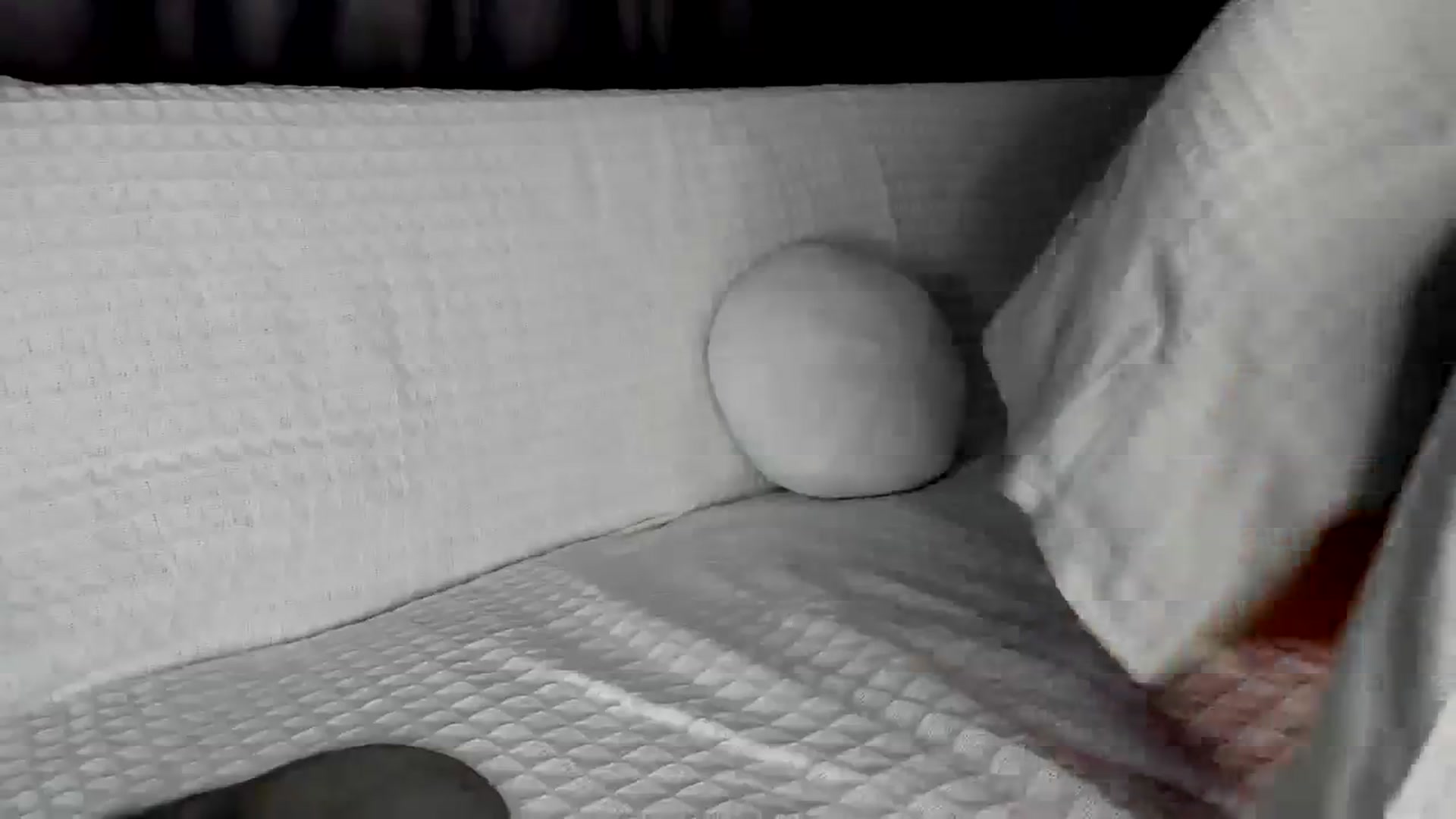 Gallery image thumbnail from Blake_Star's myfreecams stream on, 12/11/2023, 22:47 image 3 of 20