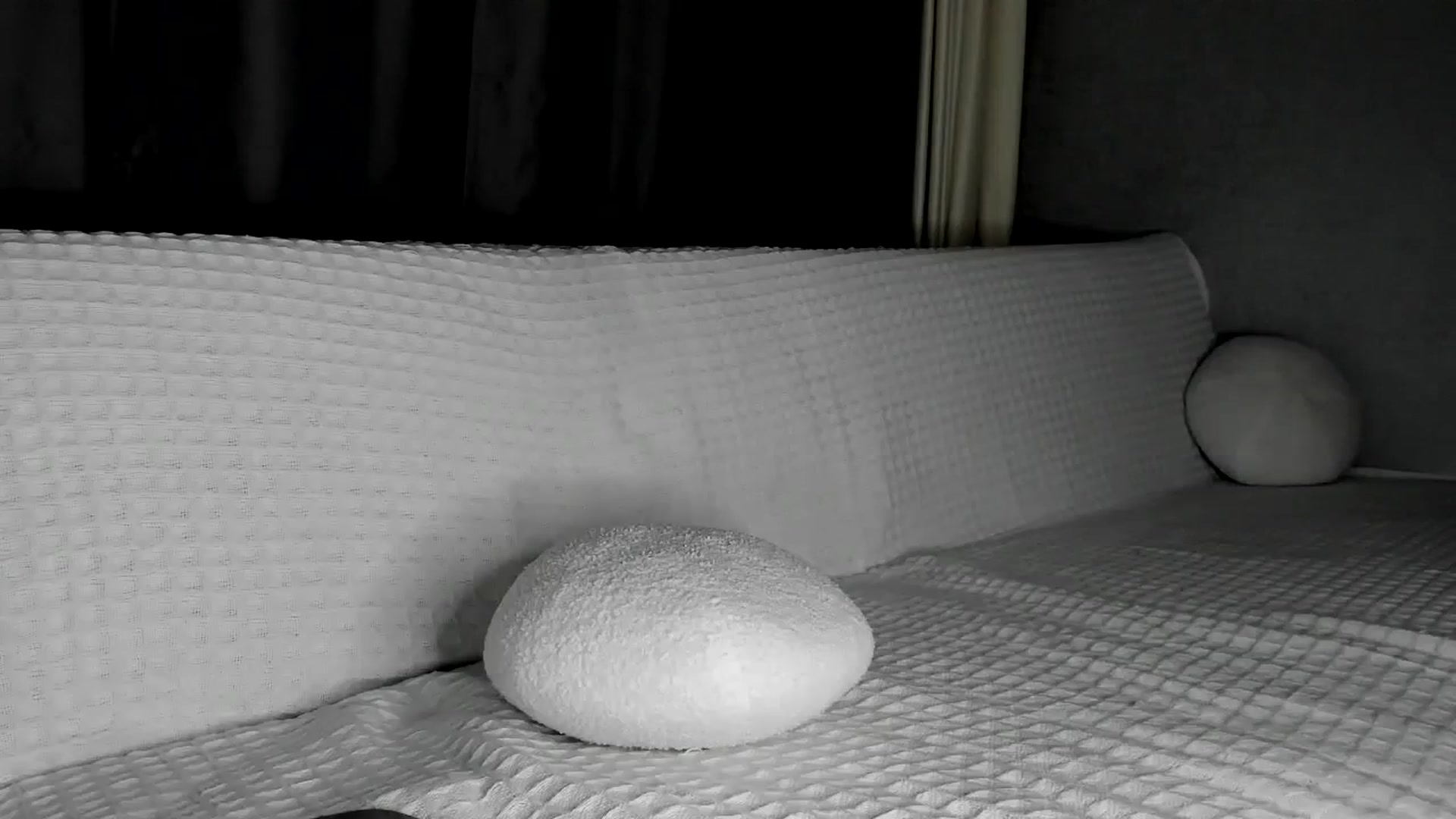 Gallery image thumbnail from Blake_Star's myfreecams stream on, 01/01/2024, 21:10 image 9 of 20