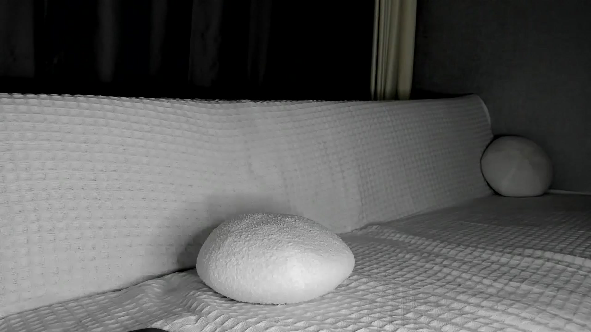 Gallery image thumbnail from Blake_Star's myfreecams stream on, 01/01/2024, 21:10 image 8 of 20