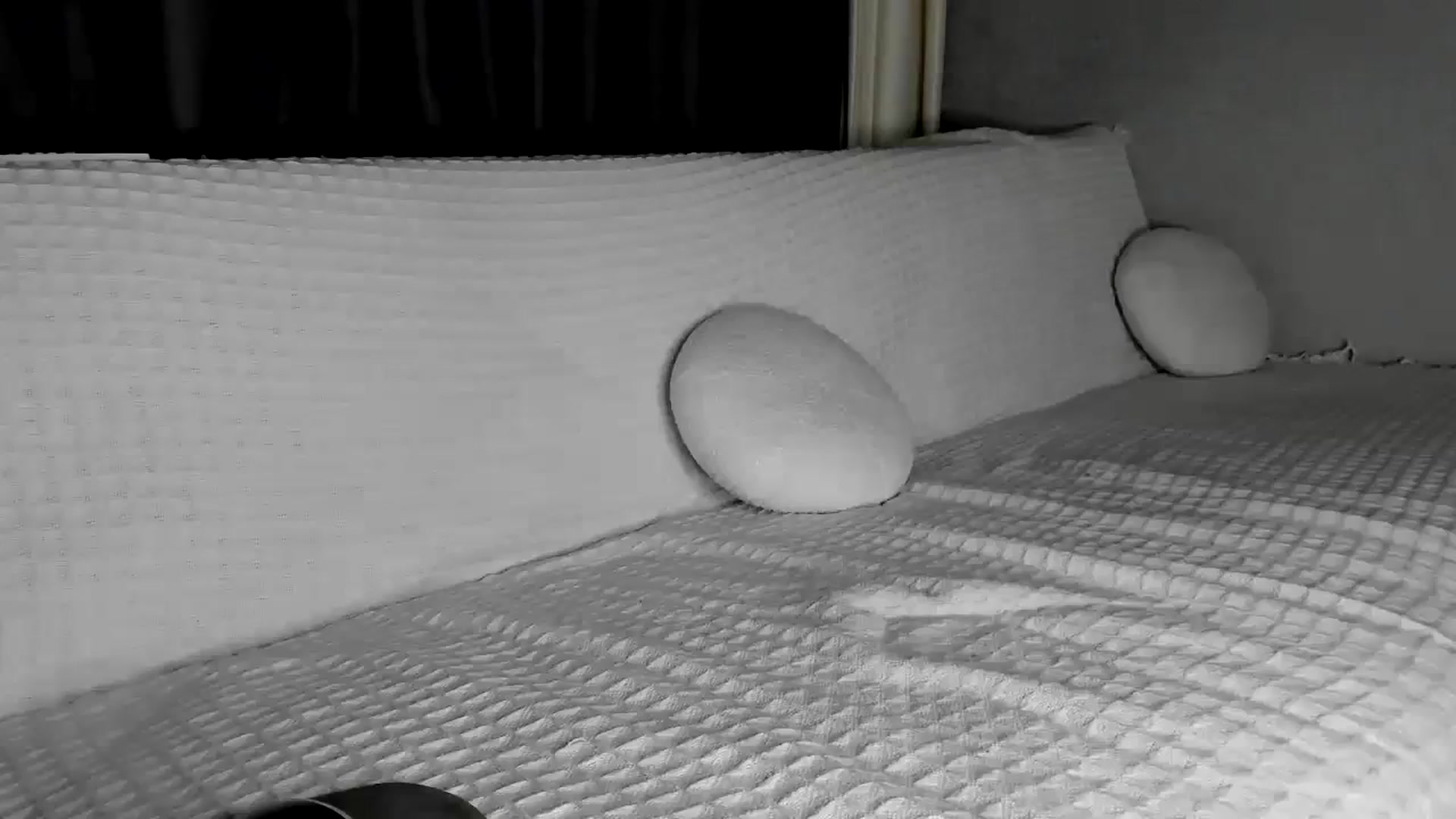 Gallery image thumbnail from Blake_Star's myfreecams stream on, 01/09/2024, 21:59 image 14 of 20