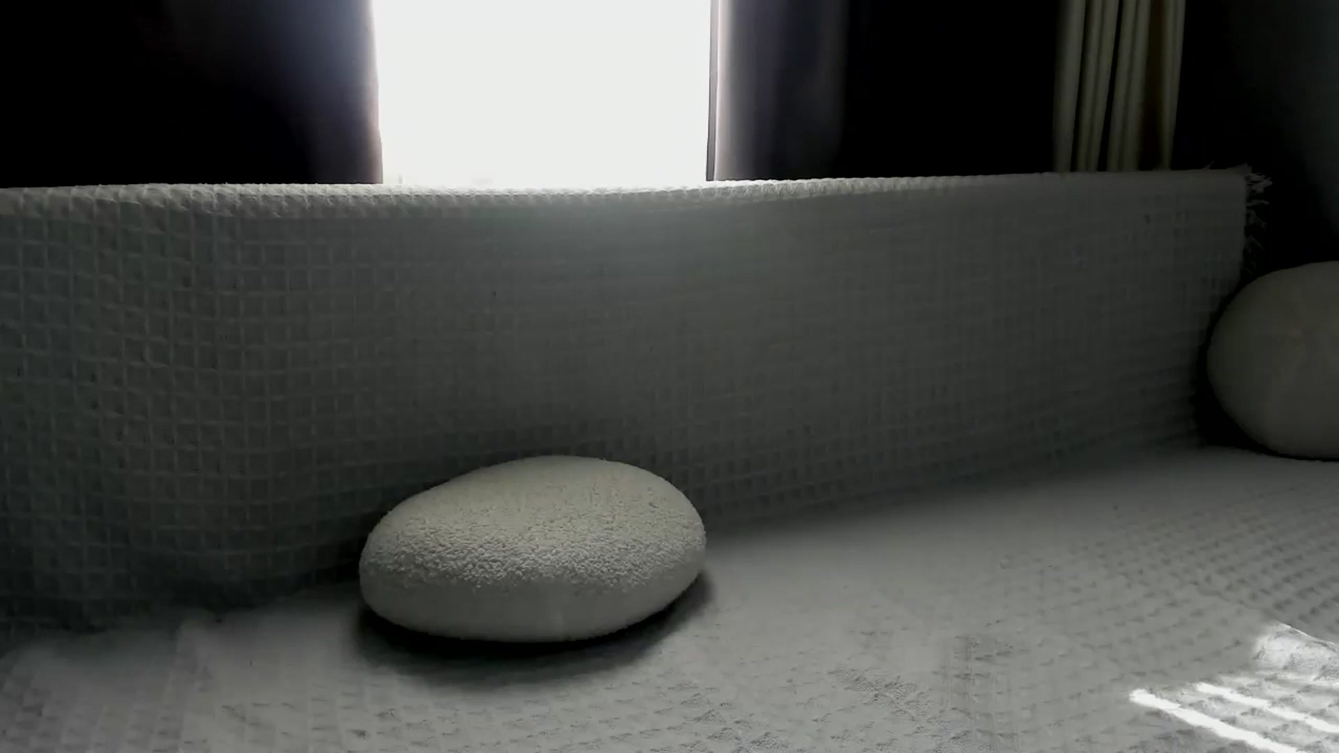 Gallery image thumbnail from Blake_Star's myfreecams stream on, 06/23/2024, 13:46 image 16 of 20