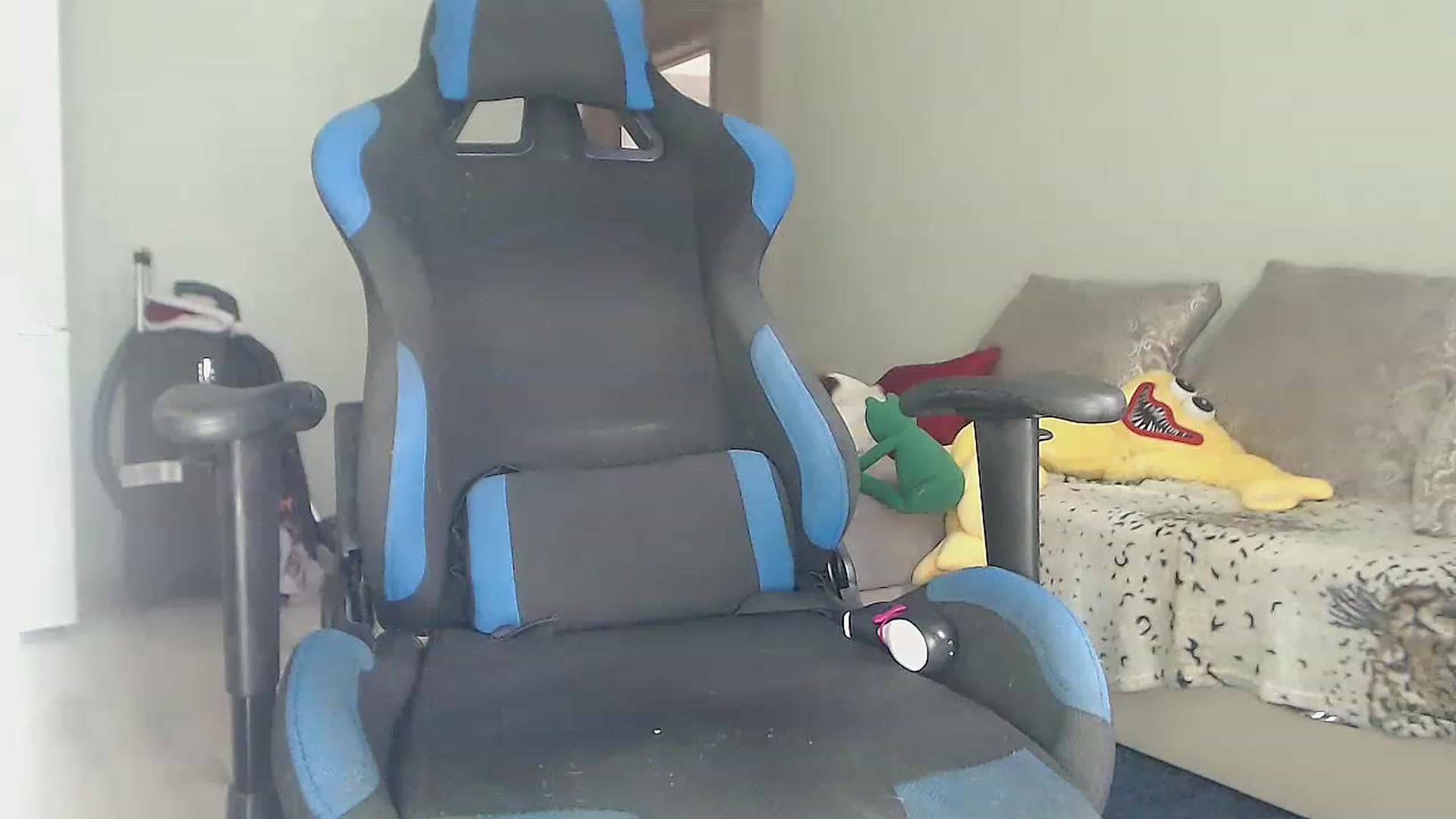 Gallery image thumbnail from Blaze_me's myfreecams stream on, 12/26/2022, 06:45 image 16 of 20