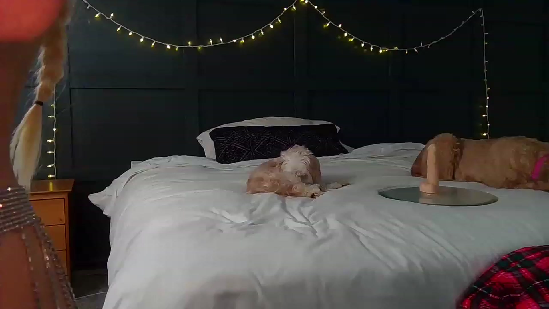Gallery image thumbnail from Blondebabe_1's myfreecams stream on, 12/08/2022, 17:23 image 6 of 20