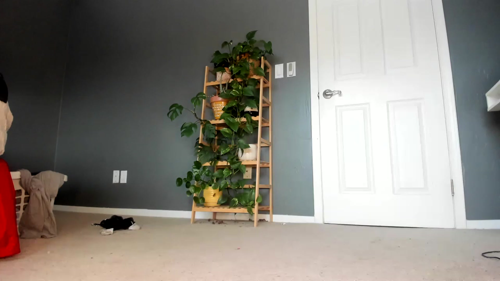 Gallery image thumbnail from Blondebootyx's myfreecams stream on, 01/21/2023, 15:39 image 1 of 20